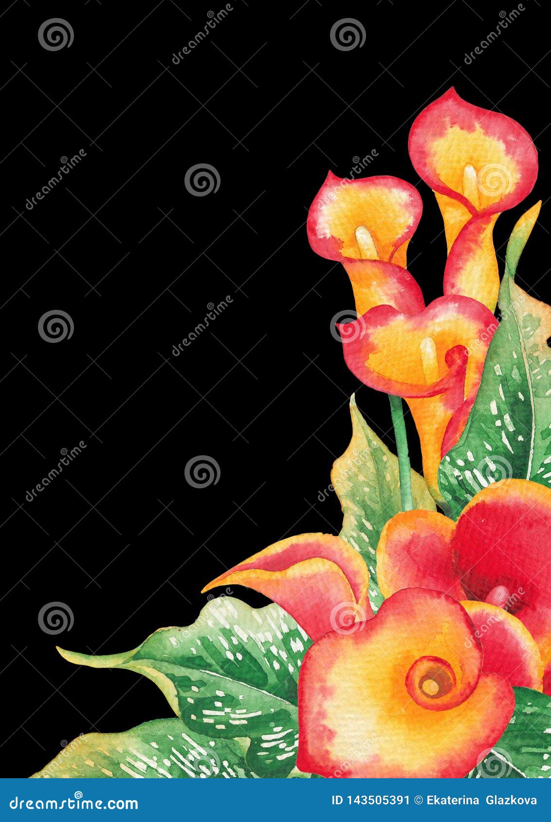 Hojas De La Acuarela Y Flores De La Cala En Colores Amarillos Y Rojos Stock  de ilustración - Ilustración de aislado, brote: 143505391