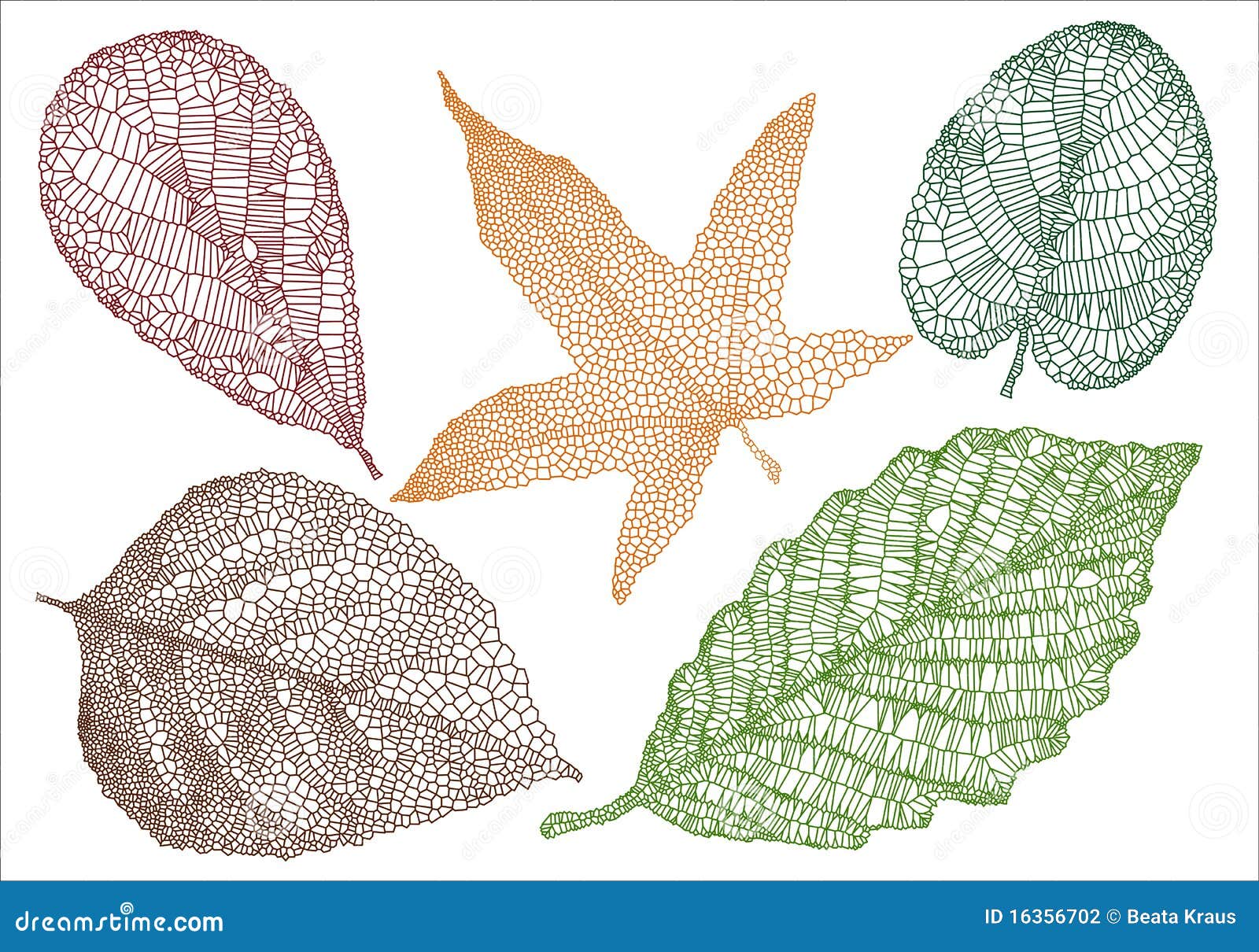 Conjunto de hojas de otoño textured, fondo