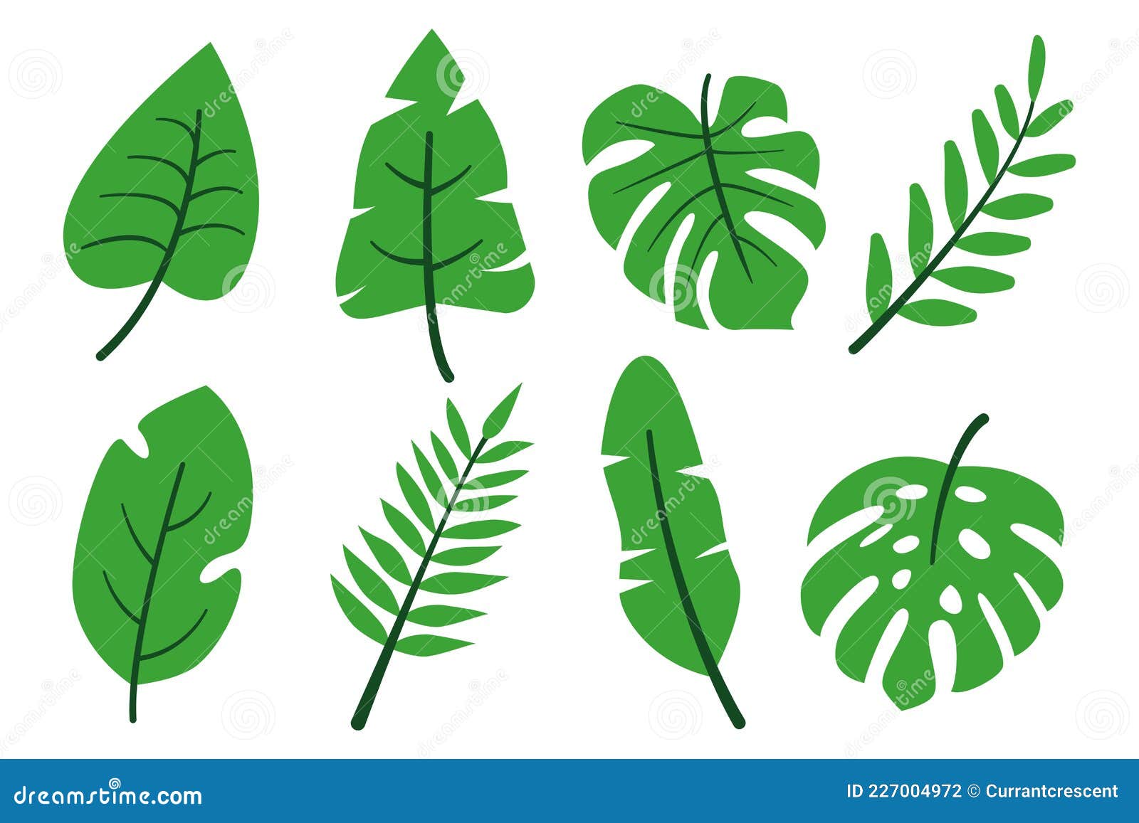Hojas De Selva Tropical Conjunto Plano Verde Abstracto Ilustración del  Vector - Ilustración de aislado, bosque: 227004972