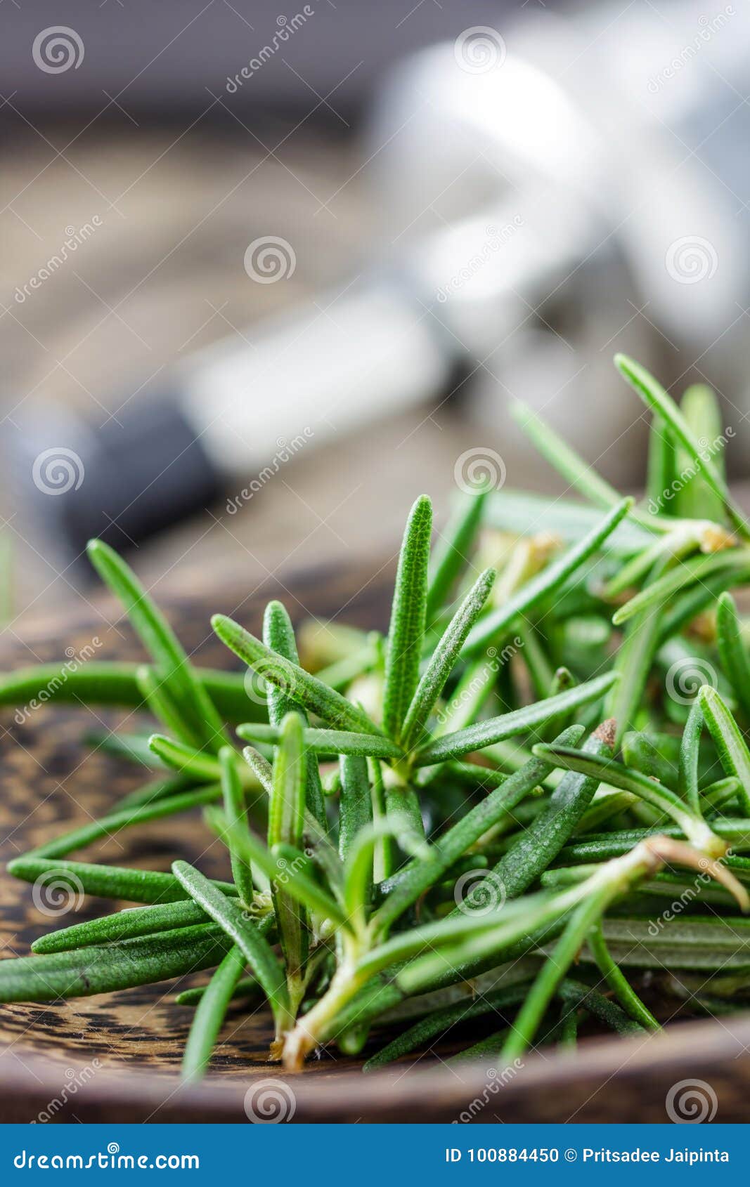 Hojas del romero de Resh foto de archivo. Imagen de fondo 100884450