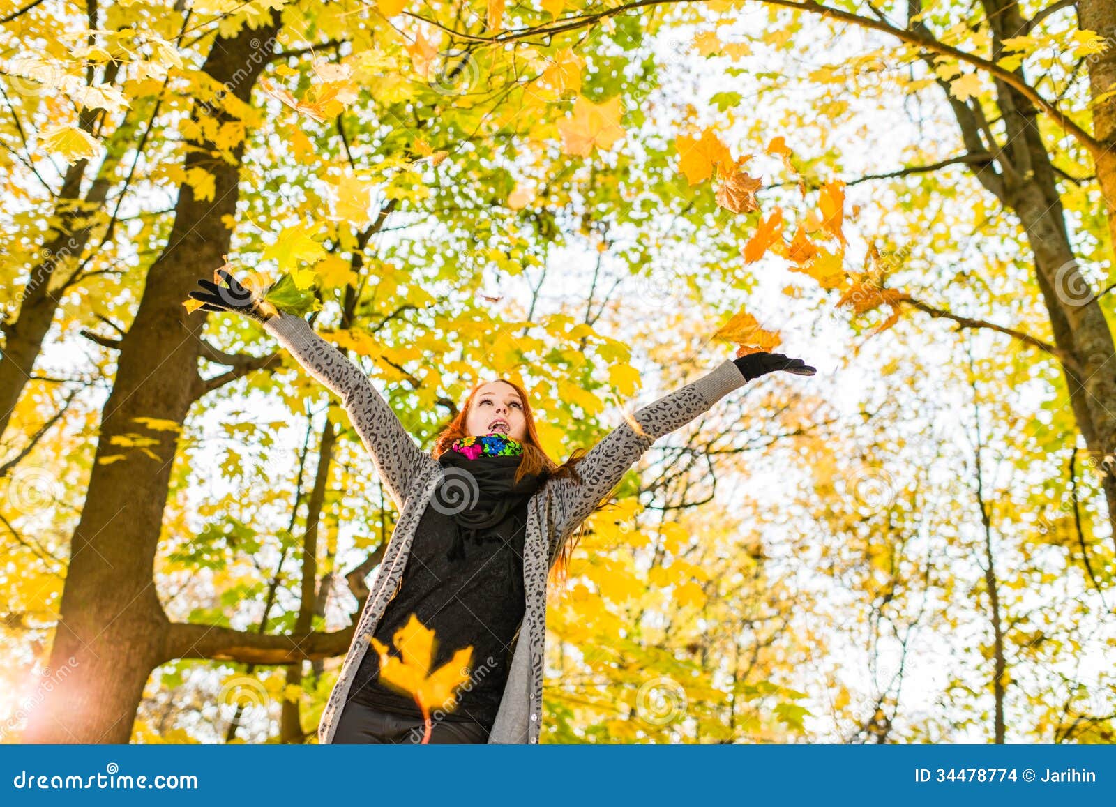 Hojas que caen foto de archivo. Imagen de exterior, bosque 34478774