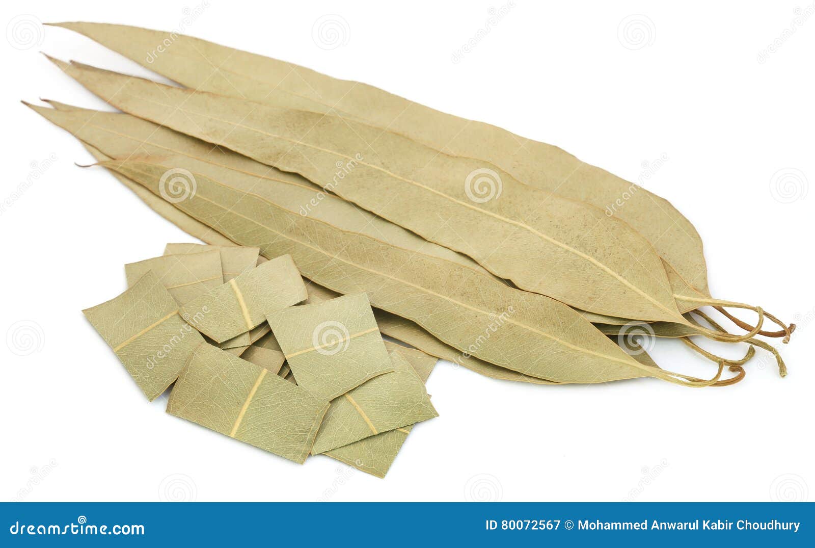 Hojas secas del eucalipto imagen de archivo. Imagen de alternativa