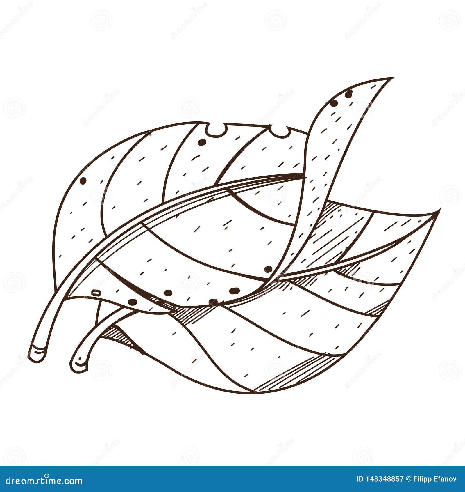 Hojas Tabaco Dibujo De Esquema Para Colorear En El Tema De Plantas  Crecientes Stock de ilustración - Ilustración de maduro, plantas: 148348857