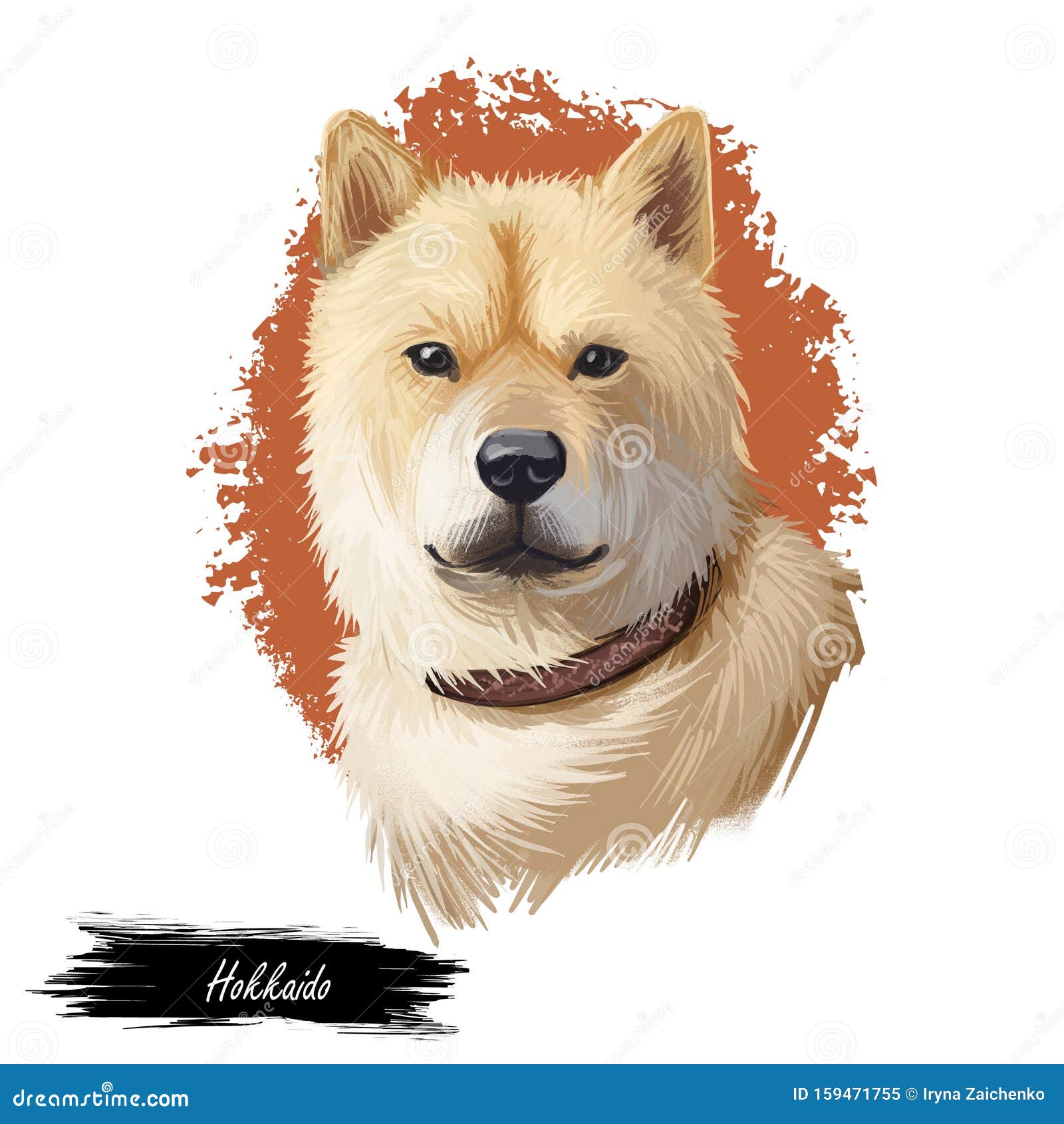 hokkaido, do-ken, ainu-ken, seta, ainu dog, hokkaido-ken dog digital art   on white background. japan origin