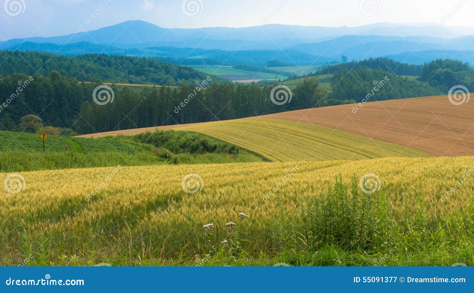 Hokkaido Farm stock image. Image of weather, farmland 55091377