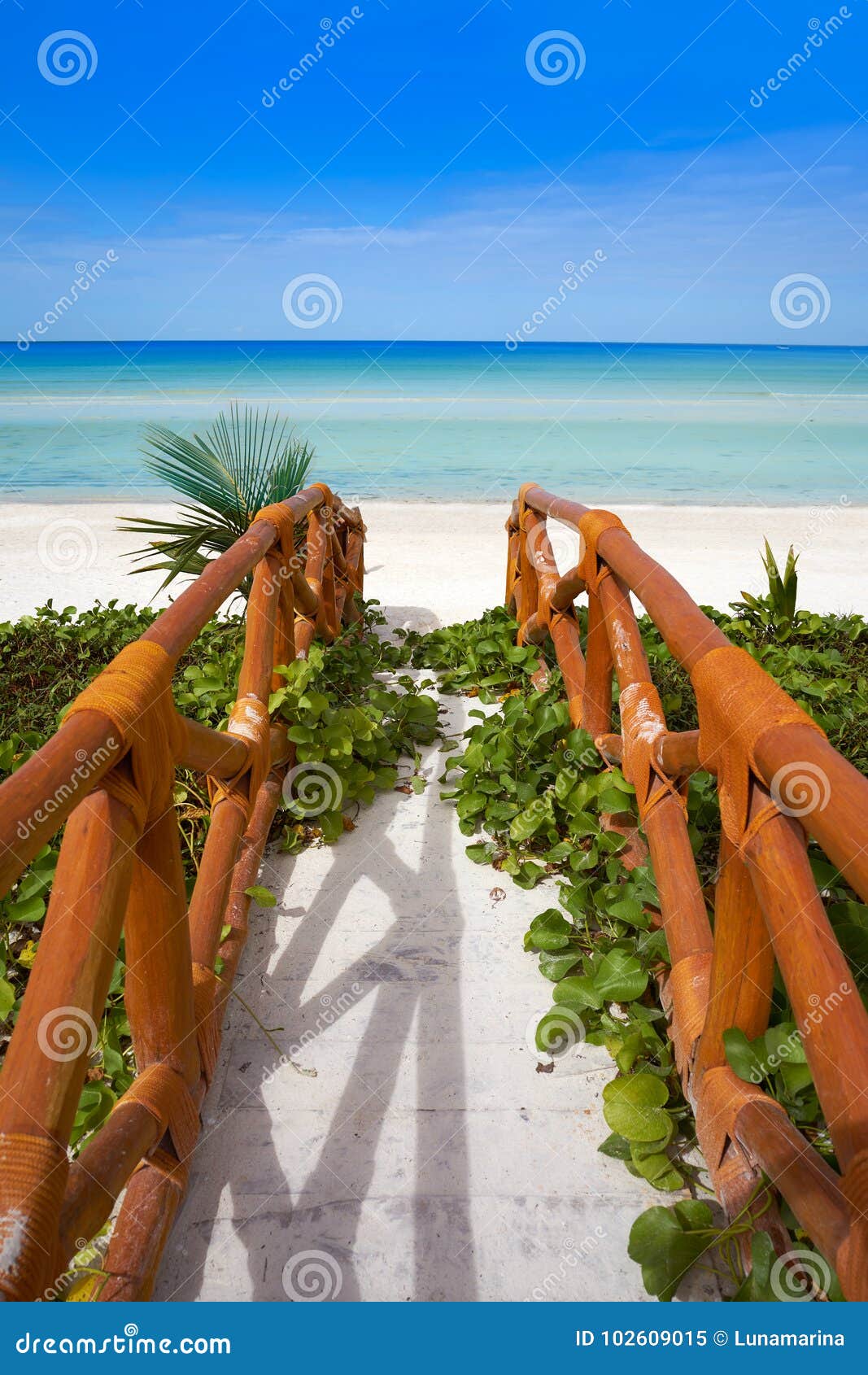 holbox tropical island in quintana roo mexico