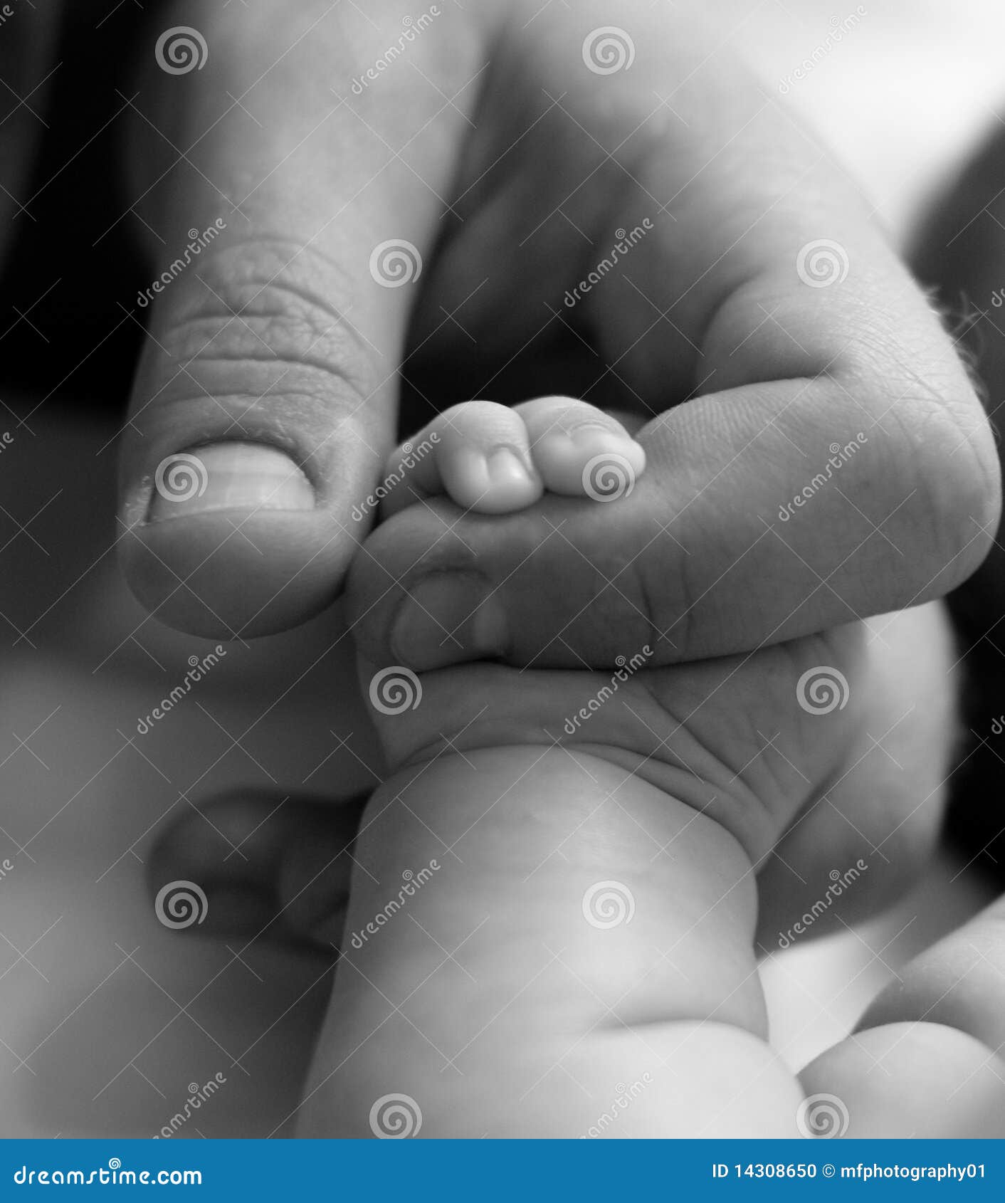 Hold my hand stock photo. Image of protection, finger - 14308650