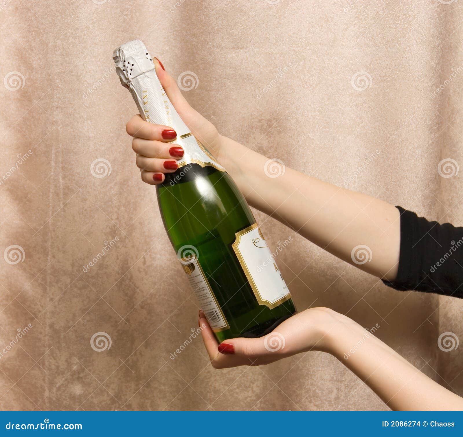 Holding Bottle with Champagne Stock Photo Image of elegance, hold