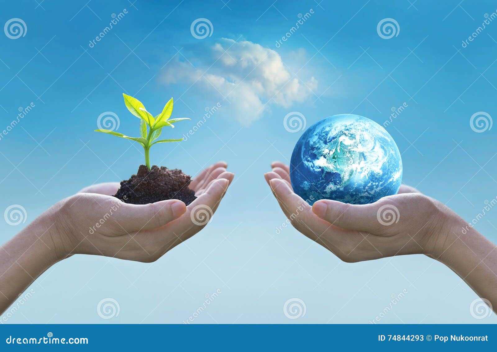 holding earth and green tree in hands, world environment day concept, saving growing young tree