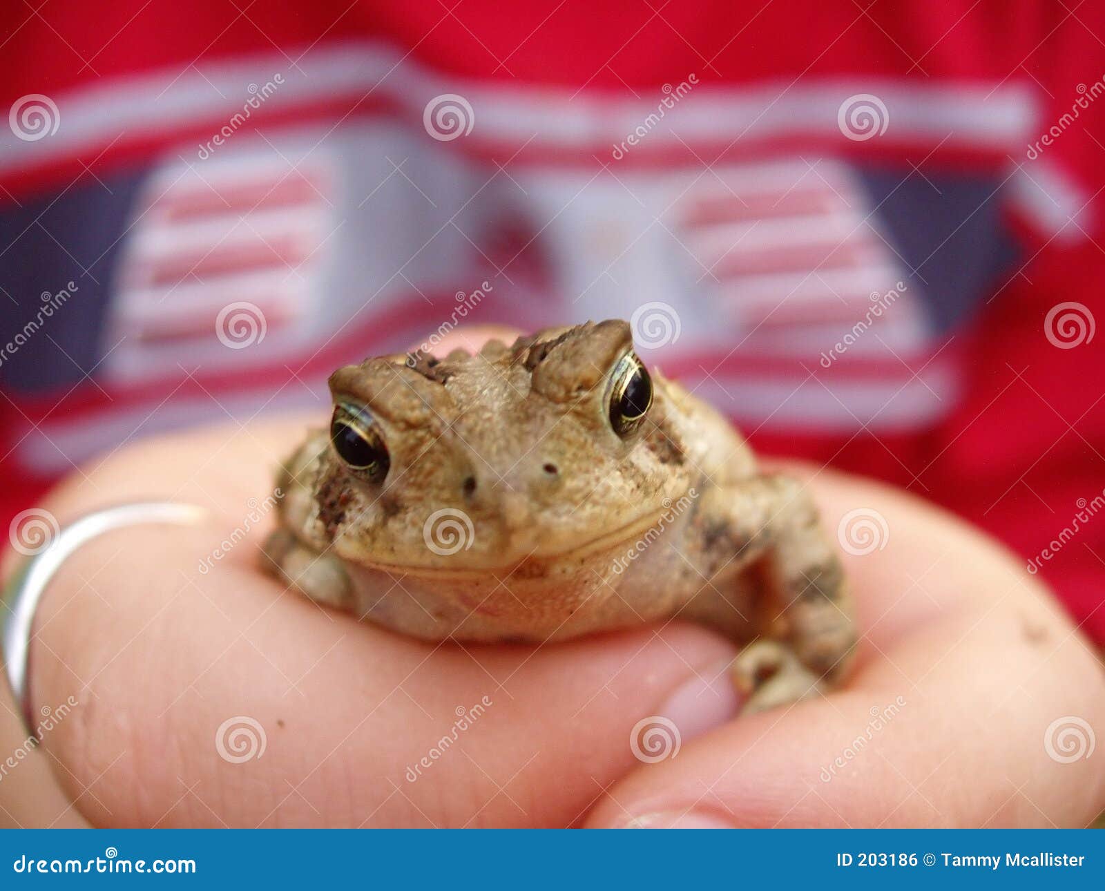Toad 12.1 Download Toad 12.1 Download