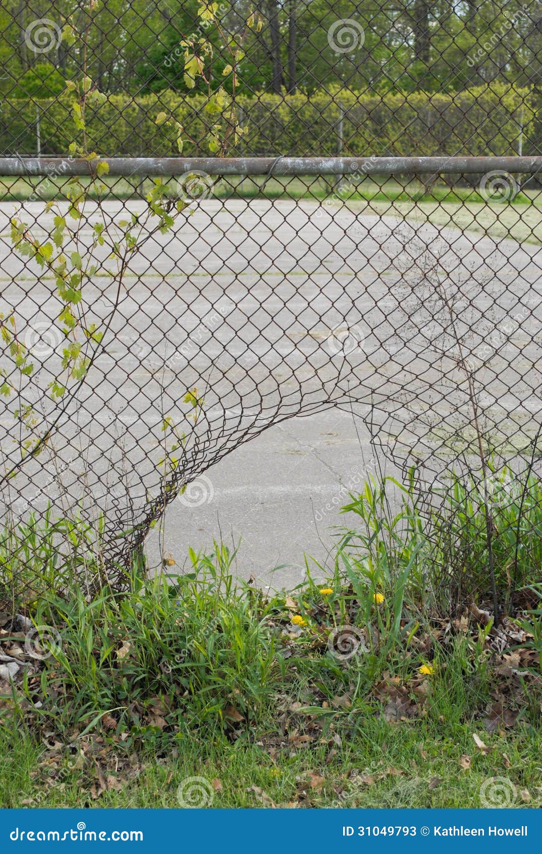 hole-fence-vertical-image-31049793.jpg