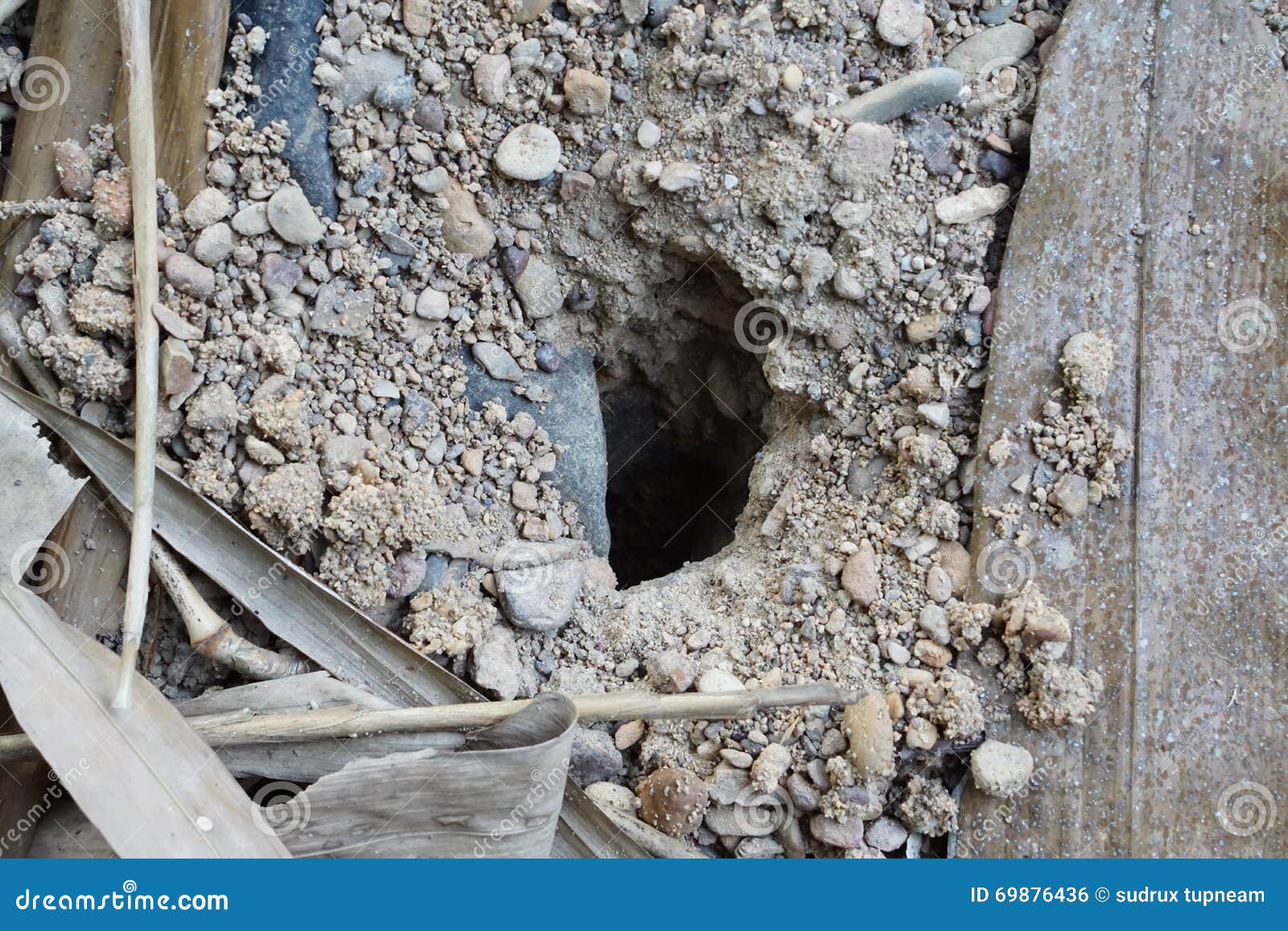 Hole on the Ground from Small Animal Dig it. Stock Photo Image of