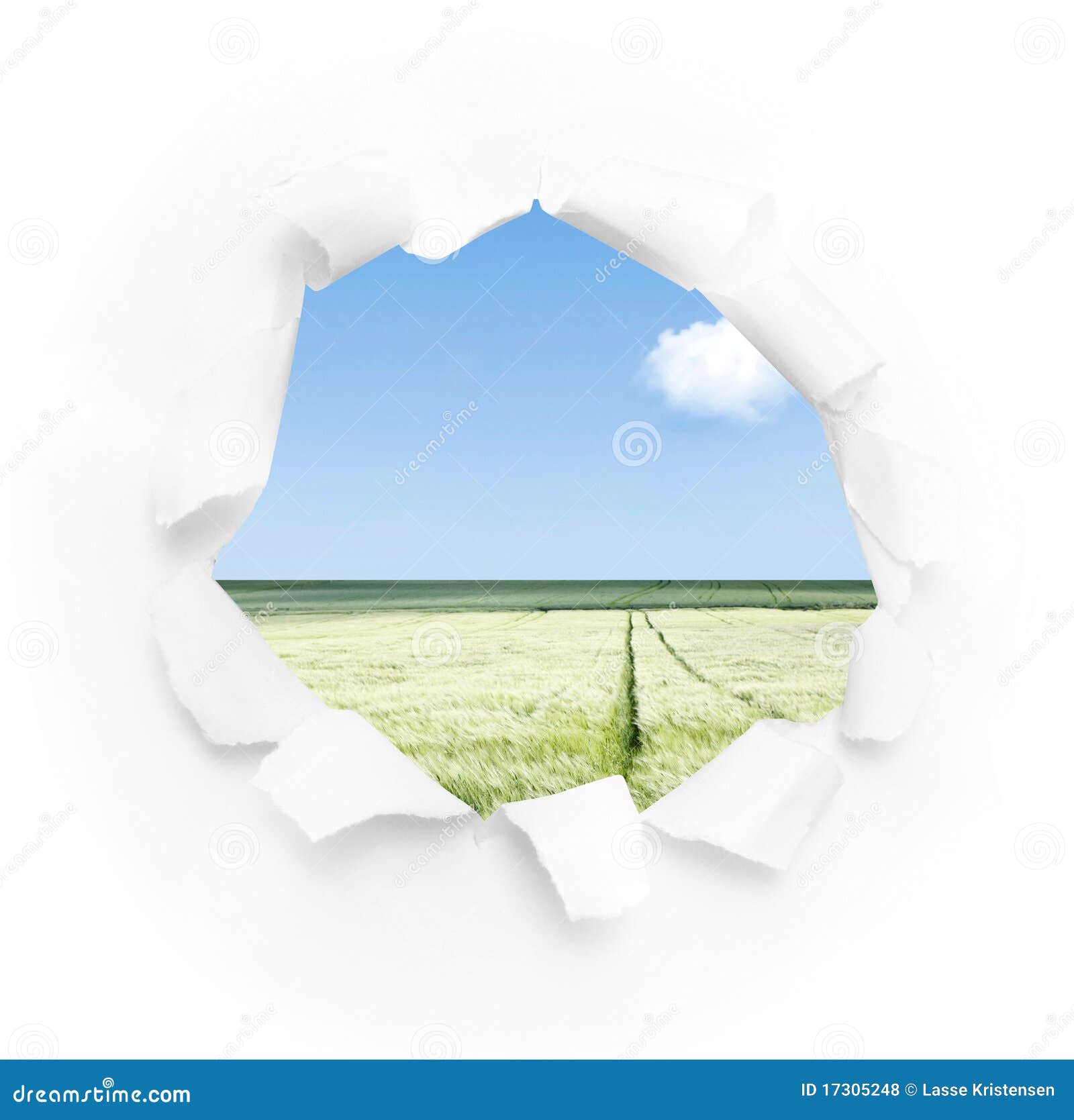 Hole in paper stock photo. Image of grass, natural, isolated 17305248