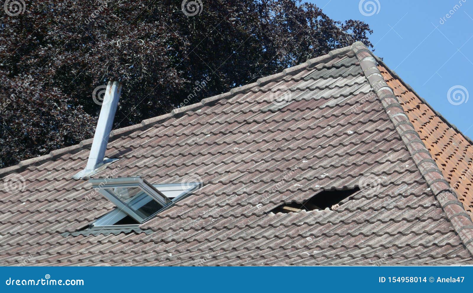 Hole In The Roof