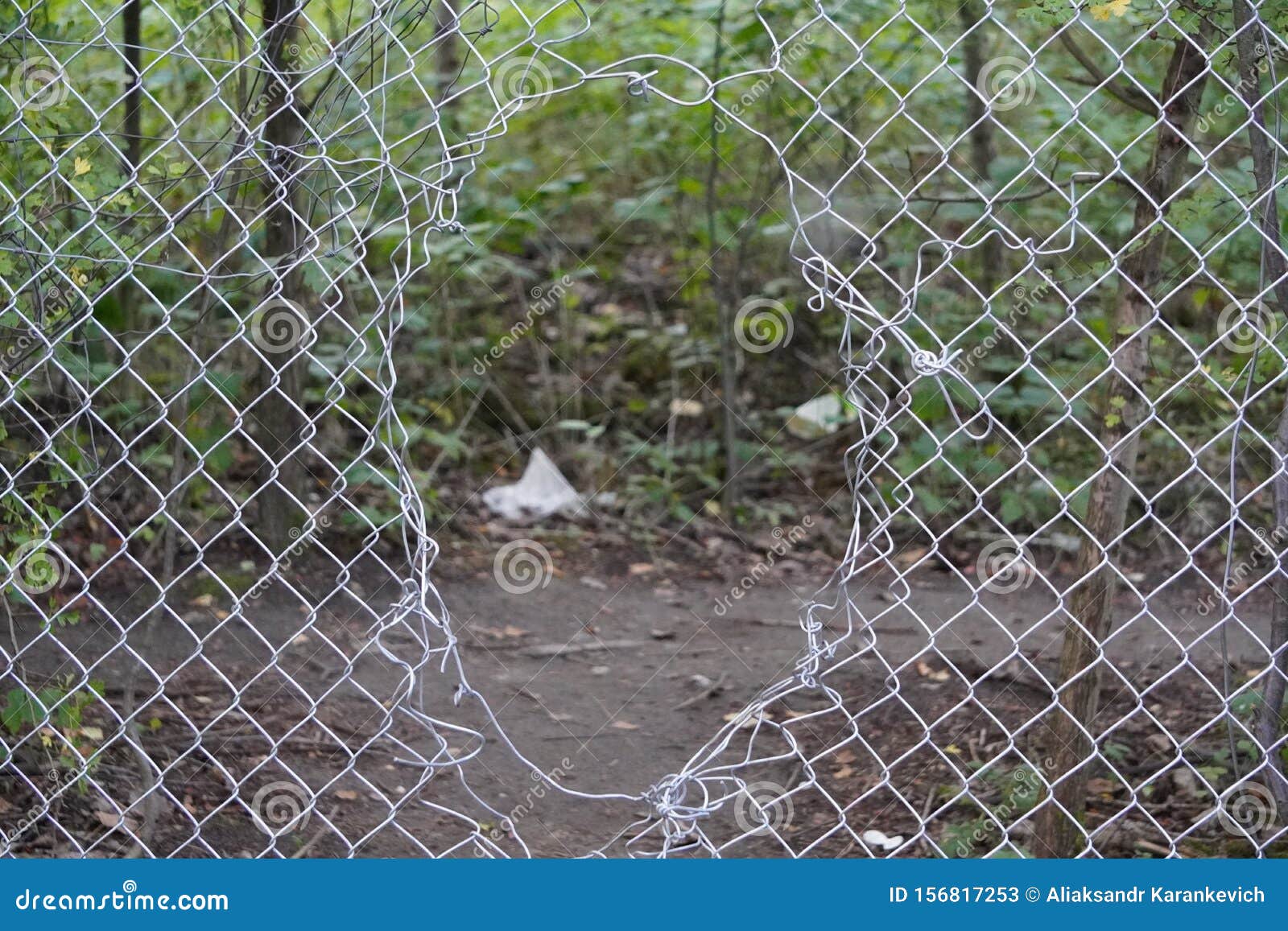 The Hole In The Steel Fence Of The Mesh Netting, The Passage To The ...
