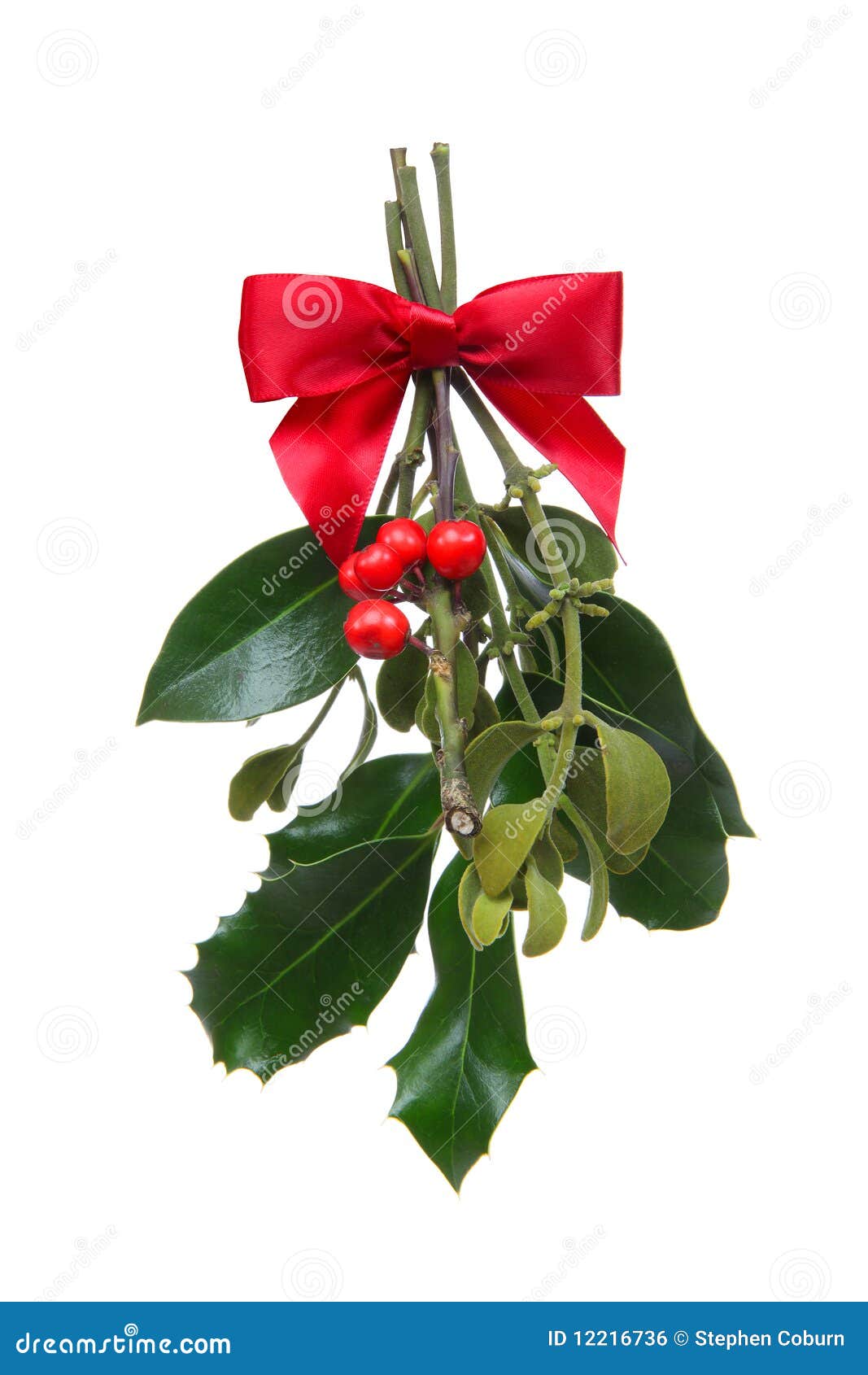 holiday christmas mistletoe