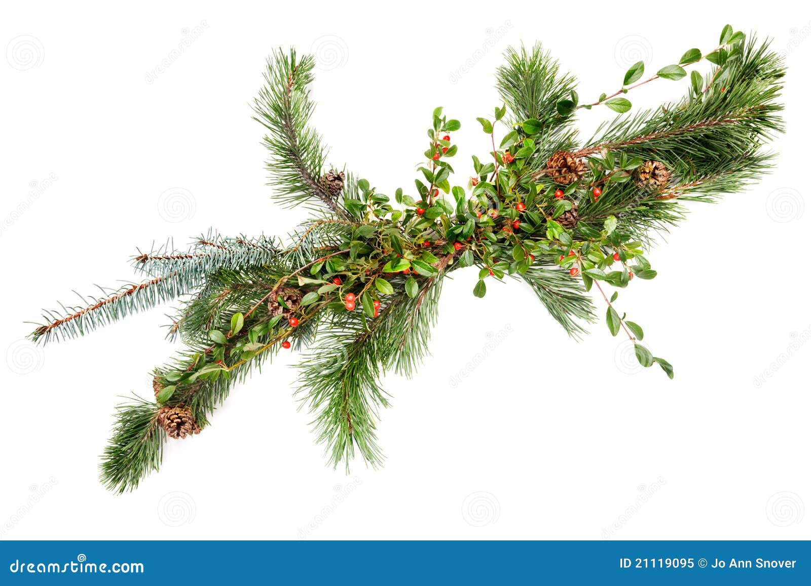 Holiday garland stock image. Image of spruce, white, green 21119095