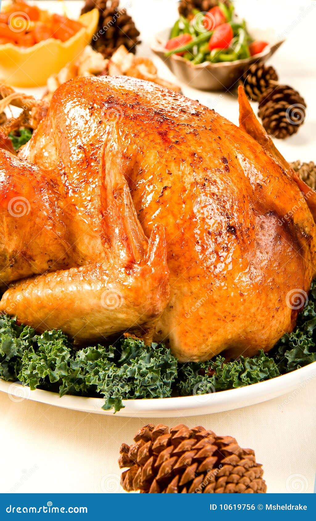 Holiday Turkey stock photo. Image of garnish, gravy, cranberry - 10619756