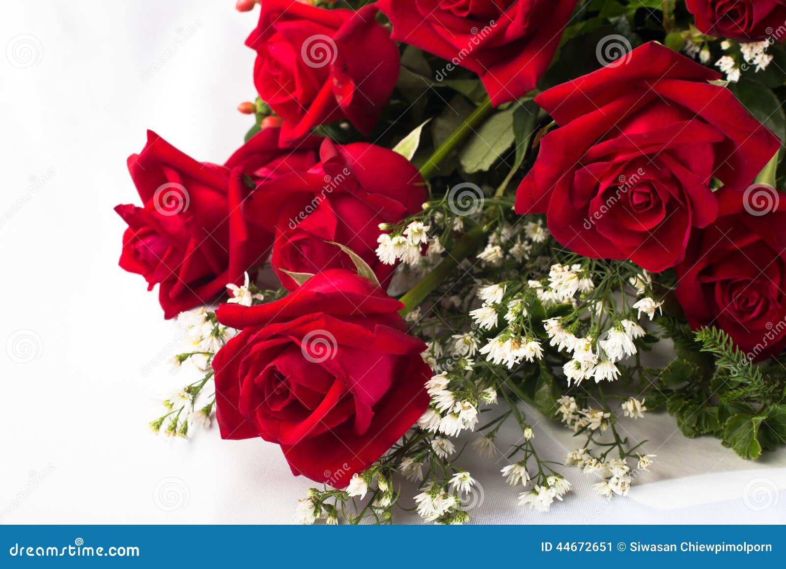 Holland roses flowers stock image. Image of bunch, holland - 44672651