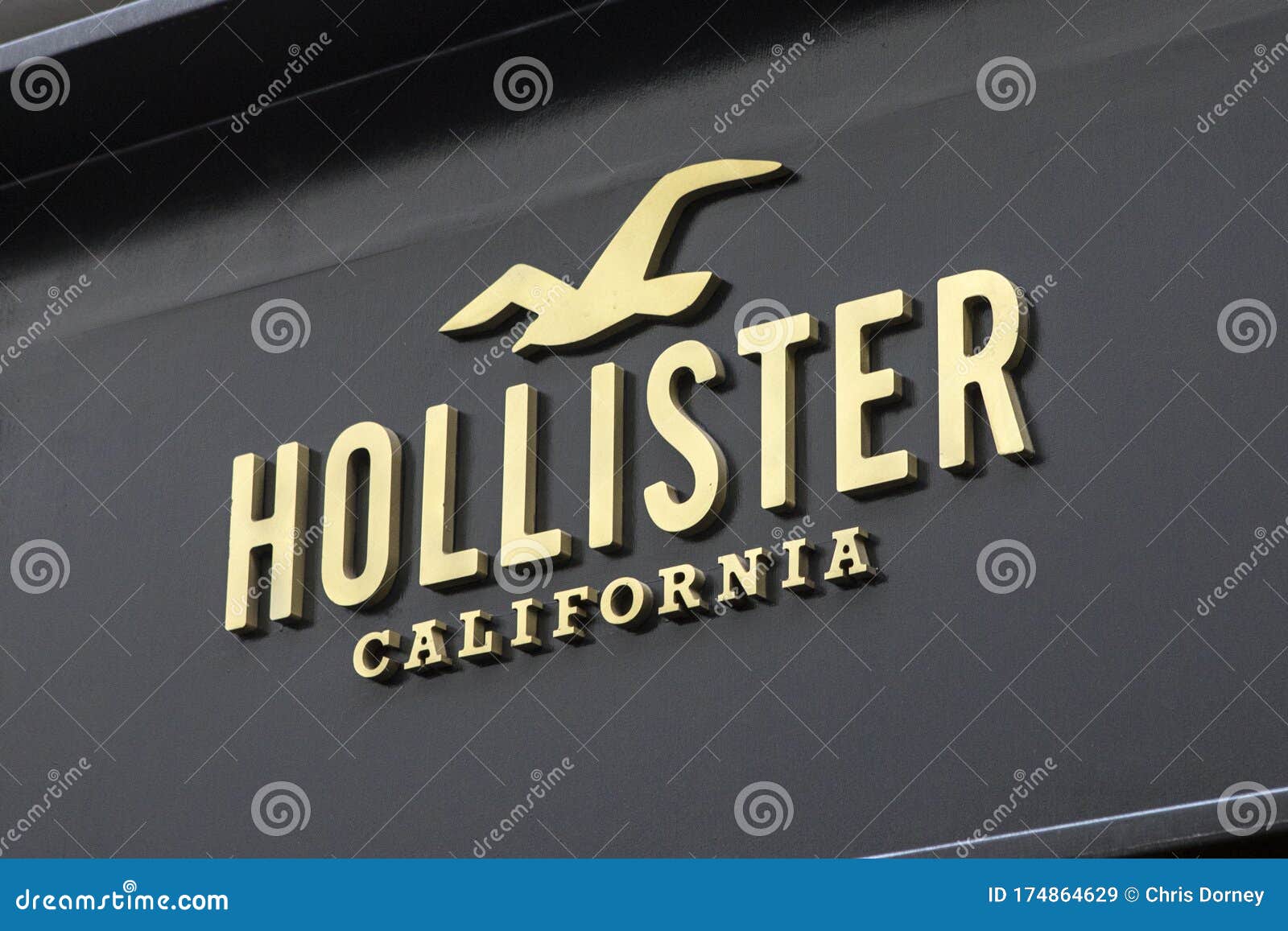 hollister germany