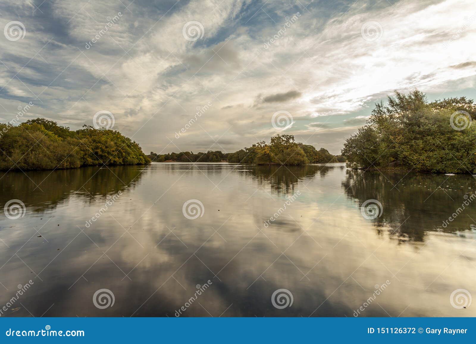 forest ponds symmetry