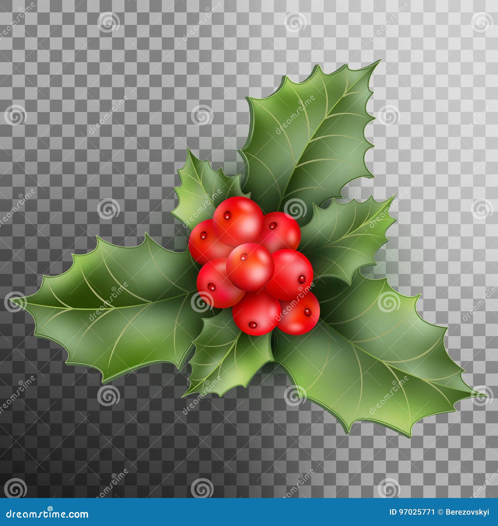 Christmas decoration holly berry branches isolated on white background, Stock vector