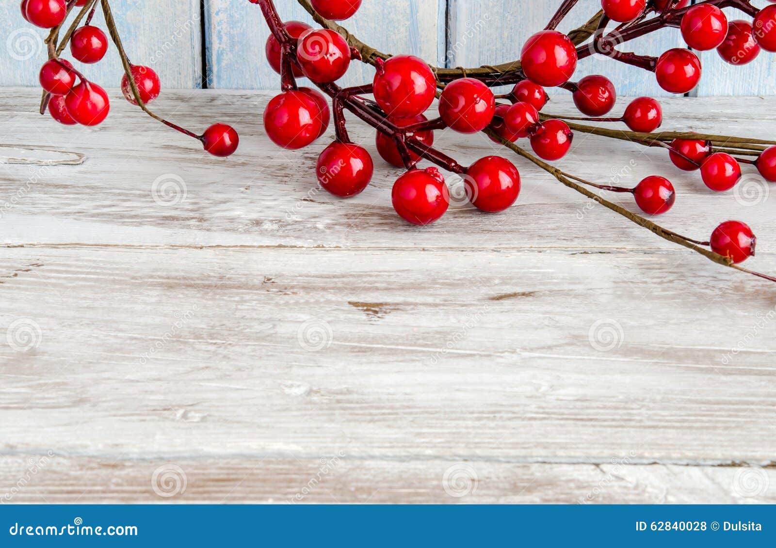 Holly stock photo. Image of christmas, boughs, abundance - 62840028