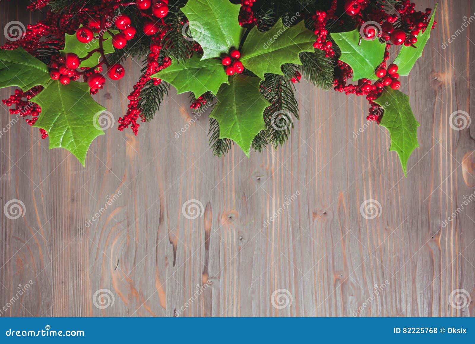 Holly and Fir Twigs on Wood Wall Stock Photo - Image of celebrate ...