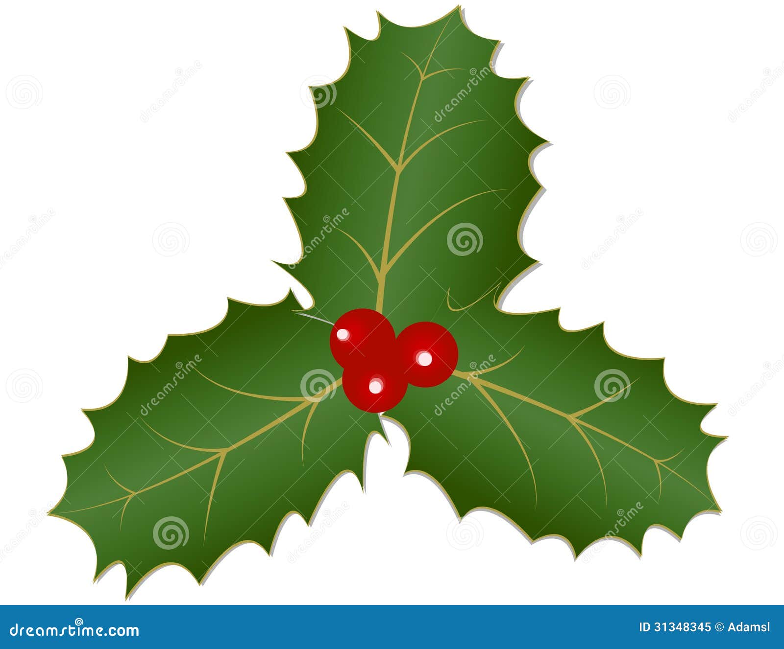 Holly Leaves And Berries Royalty Free Stock Photo - Image ... Holly Leaves And Ber