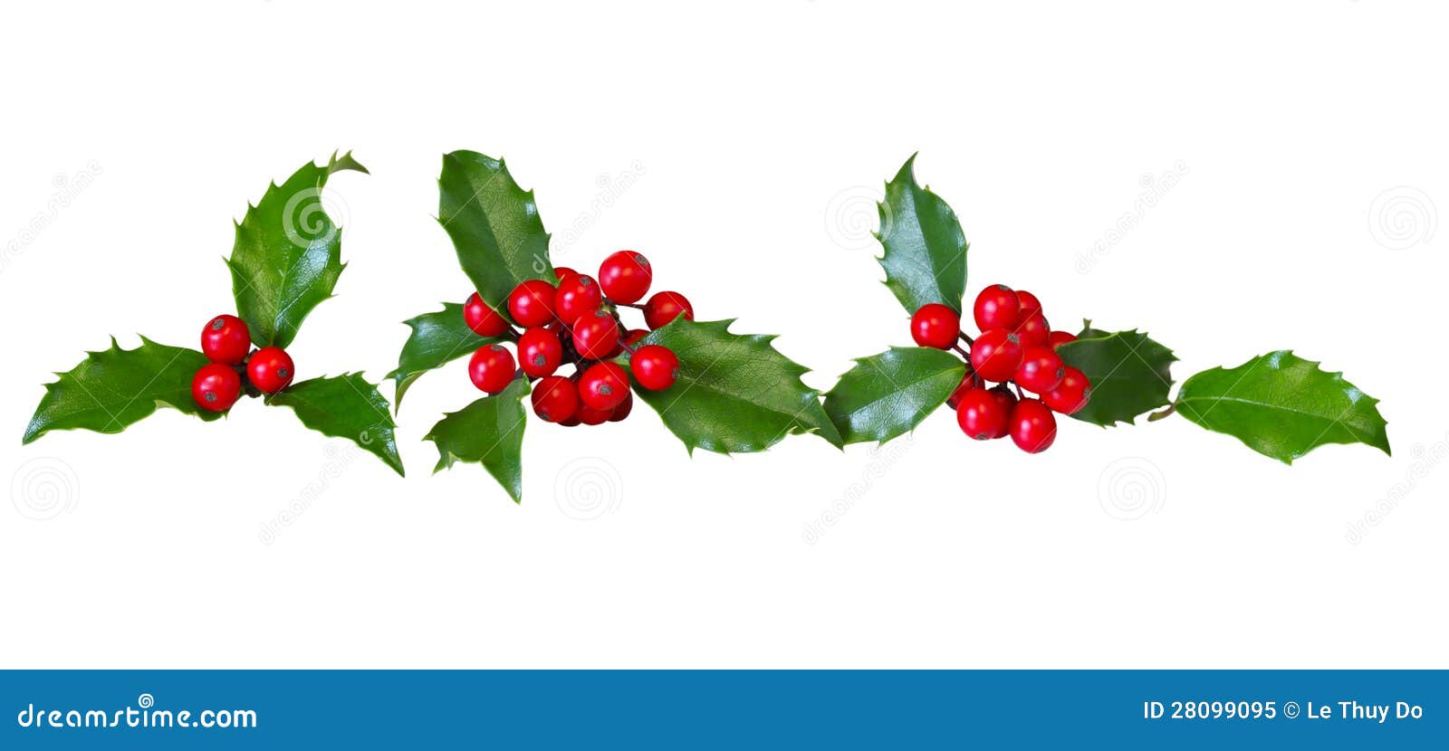 Image result for row of holly