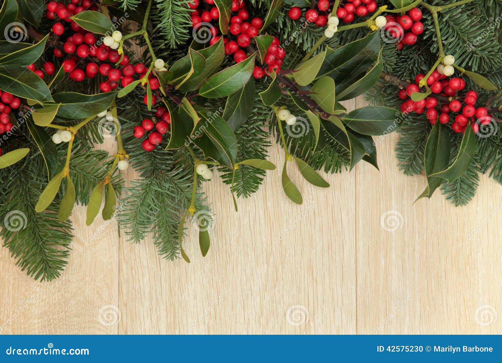 Winter Christmas Background Border Fir Mistletoe Stock Photo 209366257