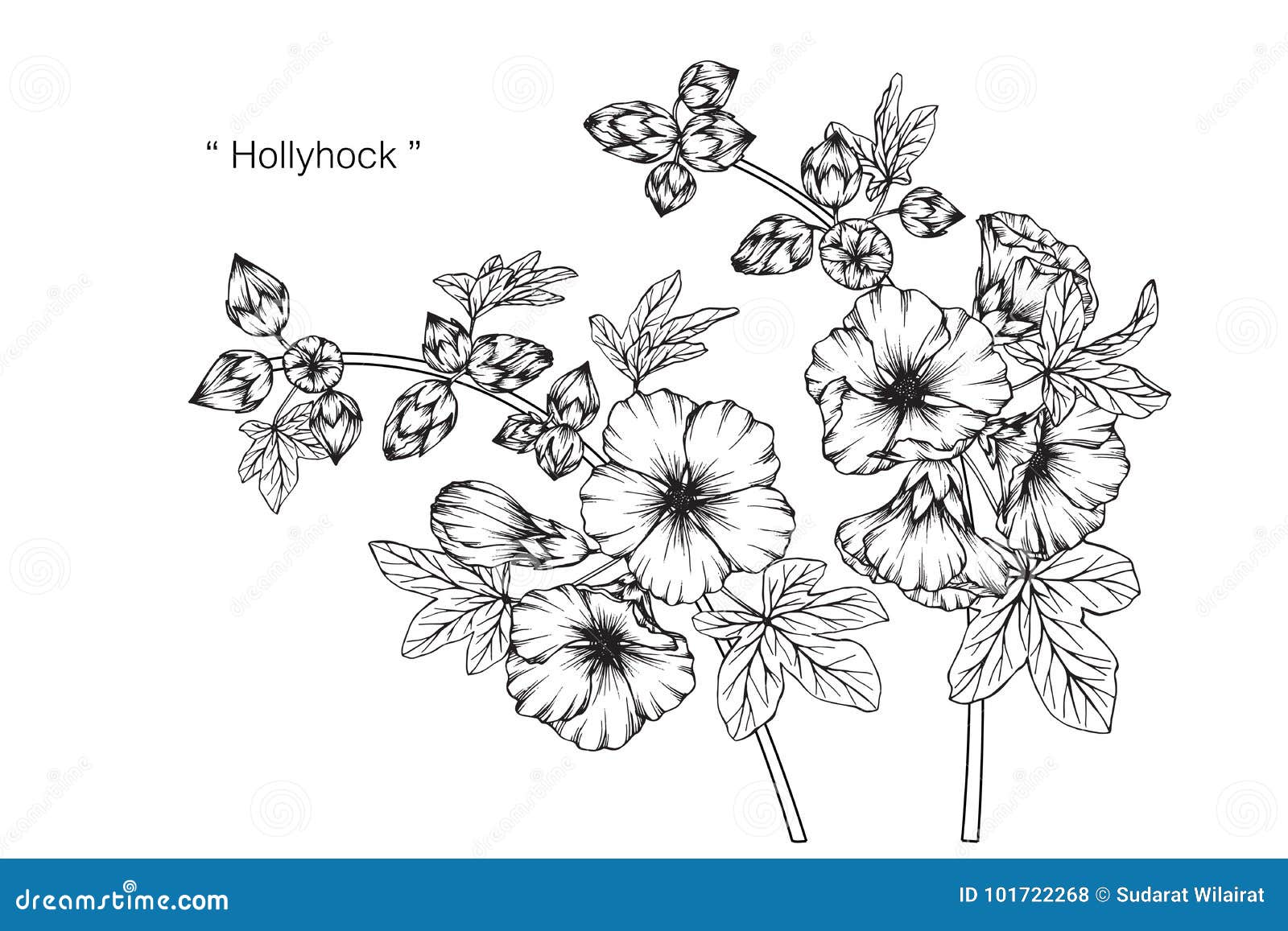 Hollyhock Images – Browse 15,973 Stock Photos, Vectors, and Video | Adobe  Stock
