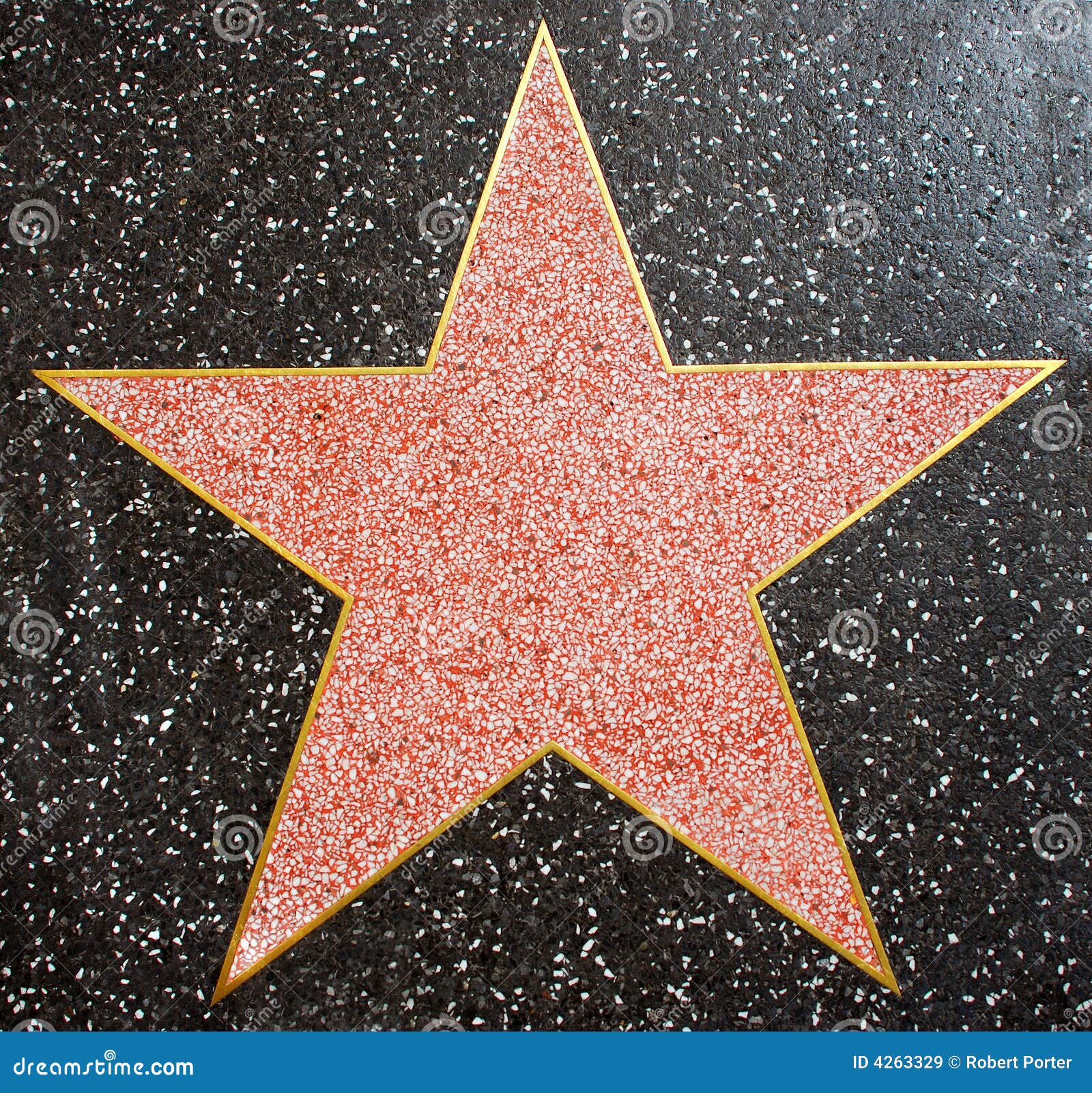 hollywood star