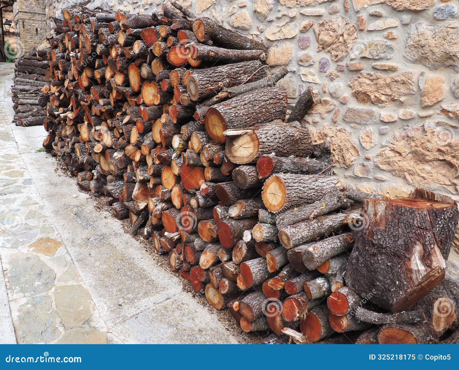 holm oak firewood for the cold winter days in the medieval town of rivert, lerida, spain