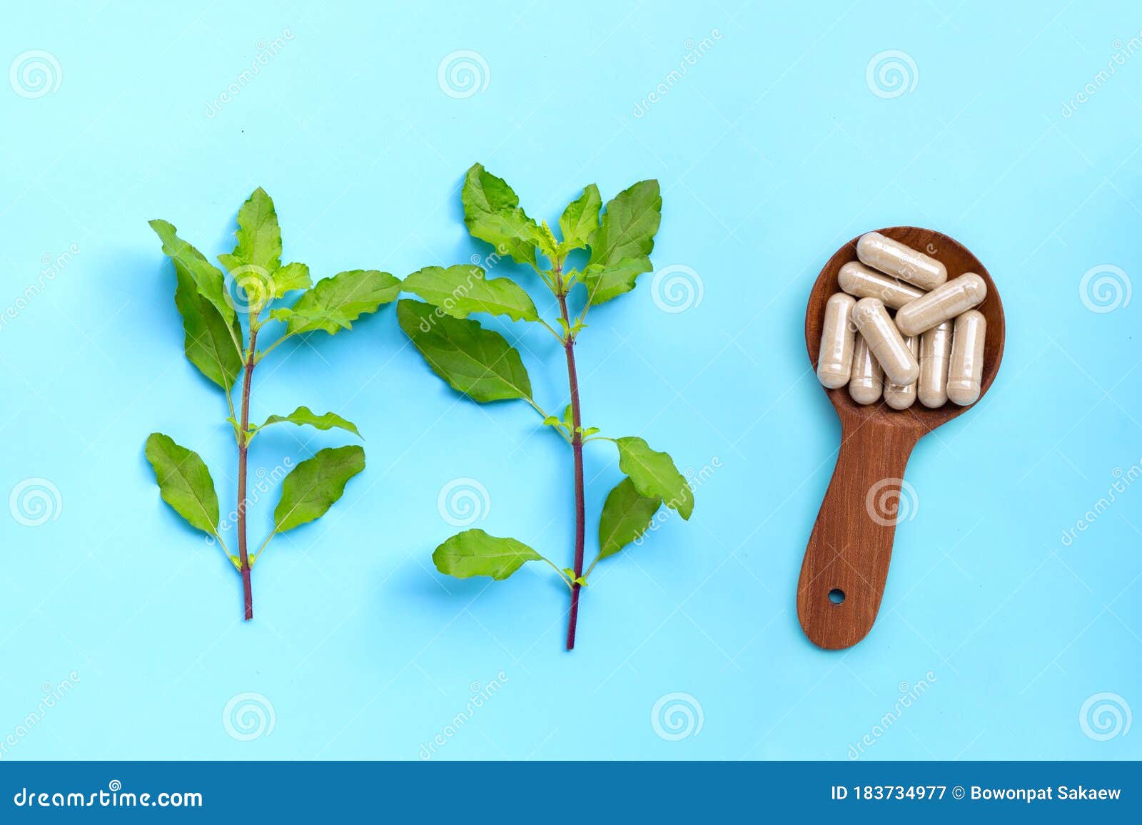 Holy Basil Leaves with Herbal Capsules on Blue Background Stock Image Image of india