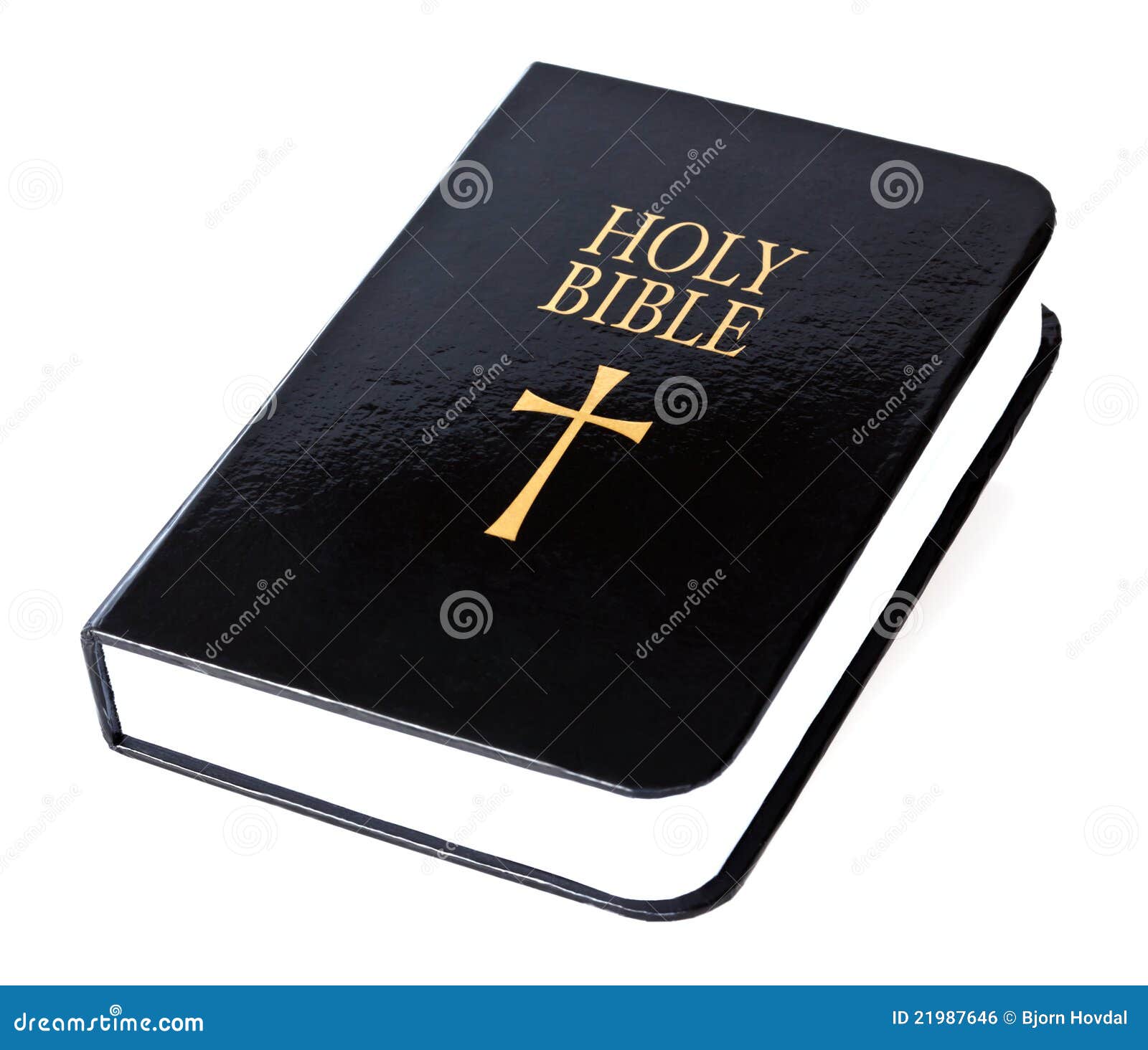 holy bible