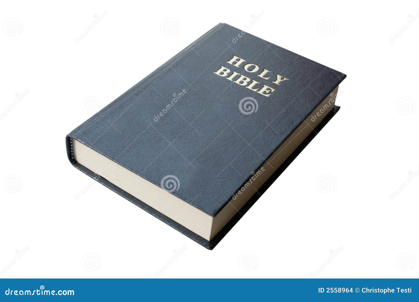 holy bible