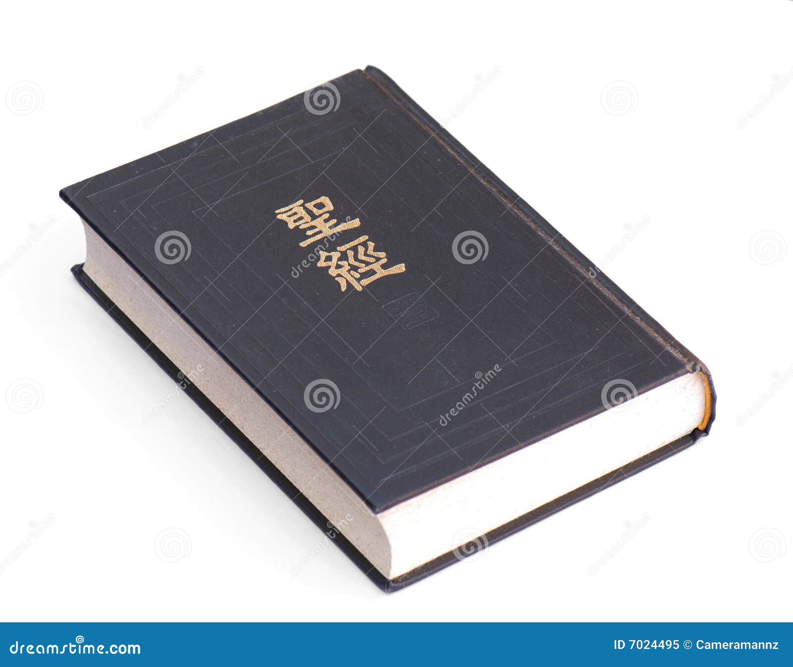 holy bible chinese edition