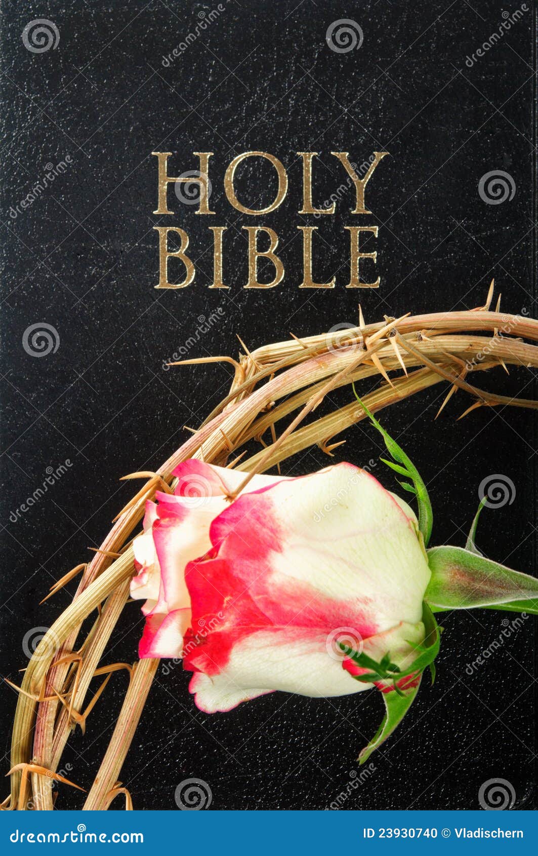 Holy Bible and Crown of Thorns with Rose Stock Photo Image of crucifixion, black 23930740
