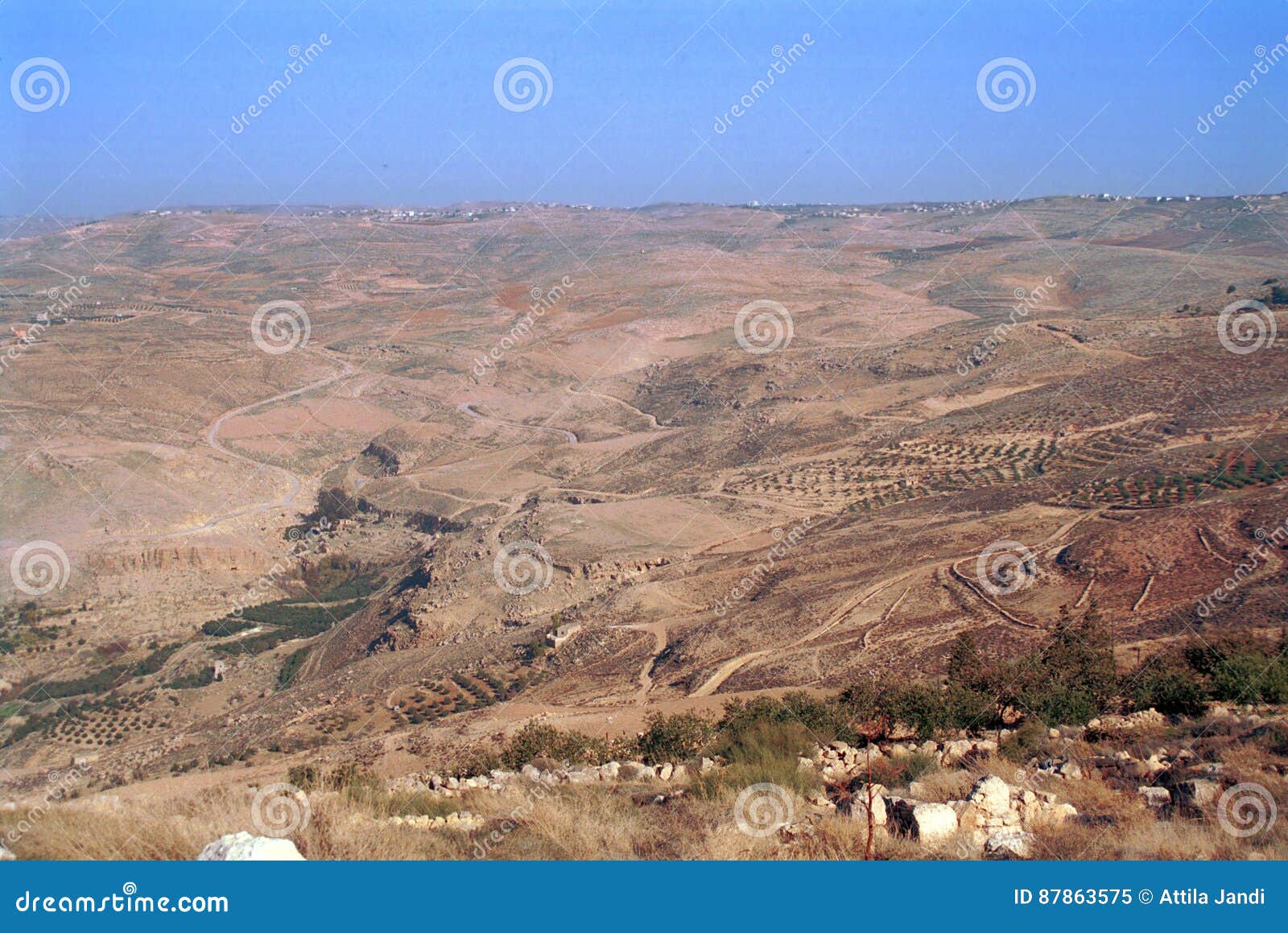 The Holy Land, Madaba, Jordan Stock Image Image of natural, forest