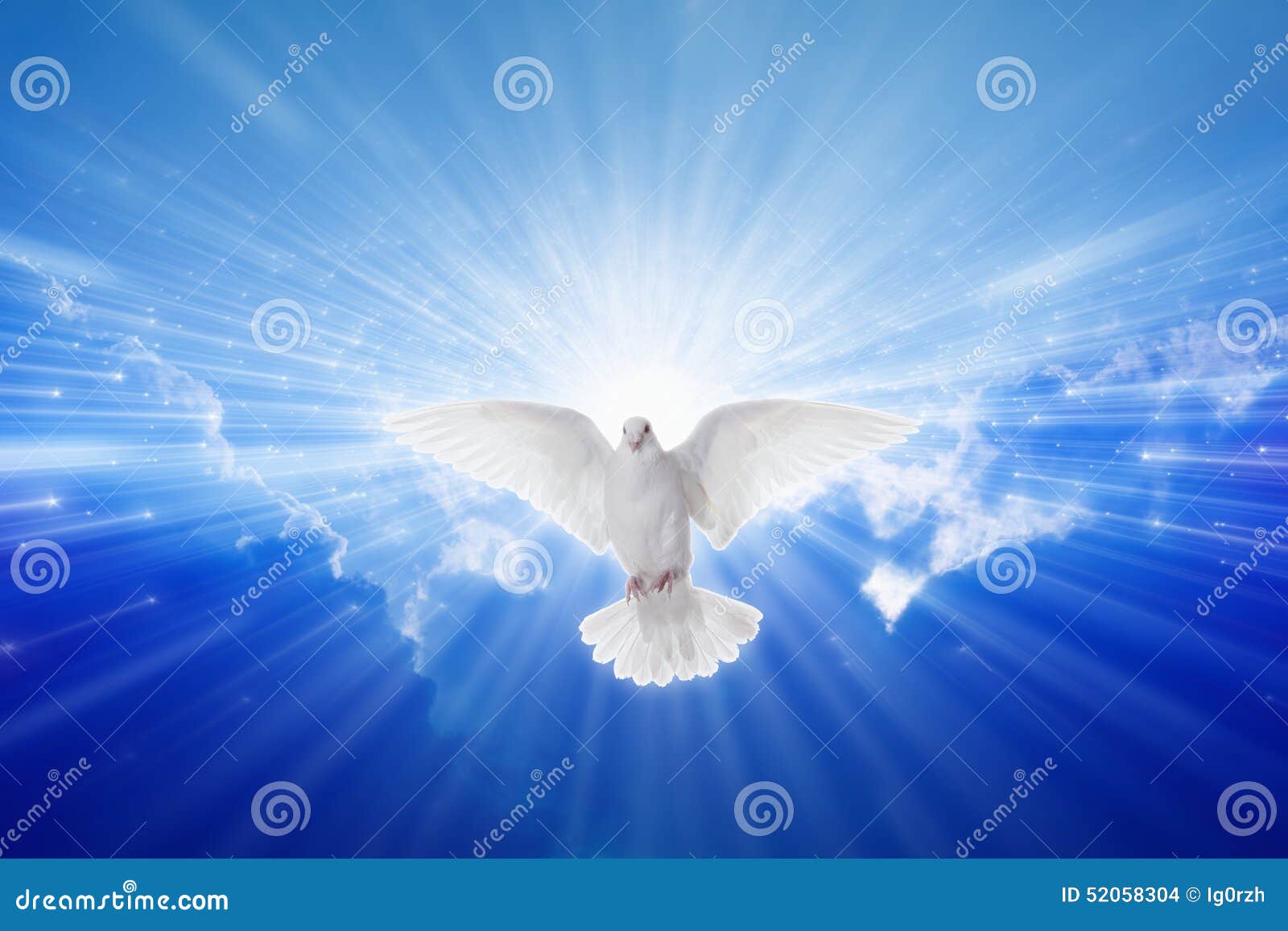 holy spirit came down like dove