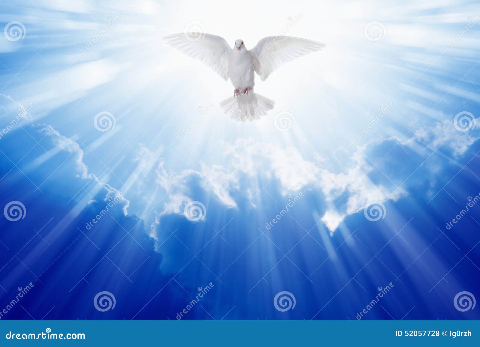 holy spirit dove