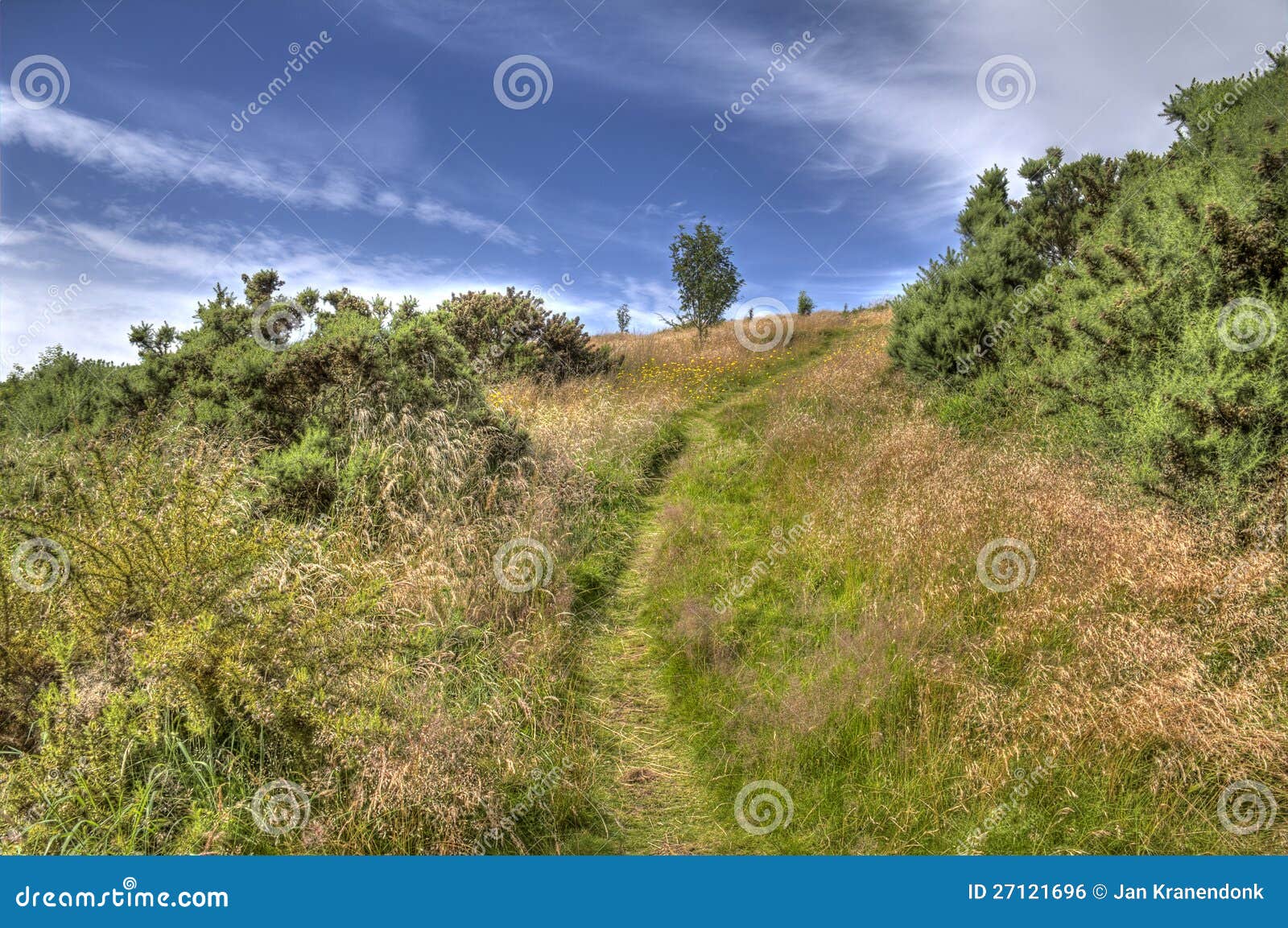 Holyrood Park stock photo. Image of holyrood, summer 27121696