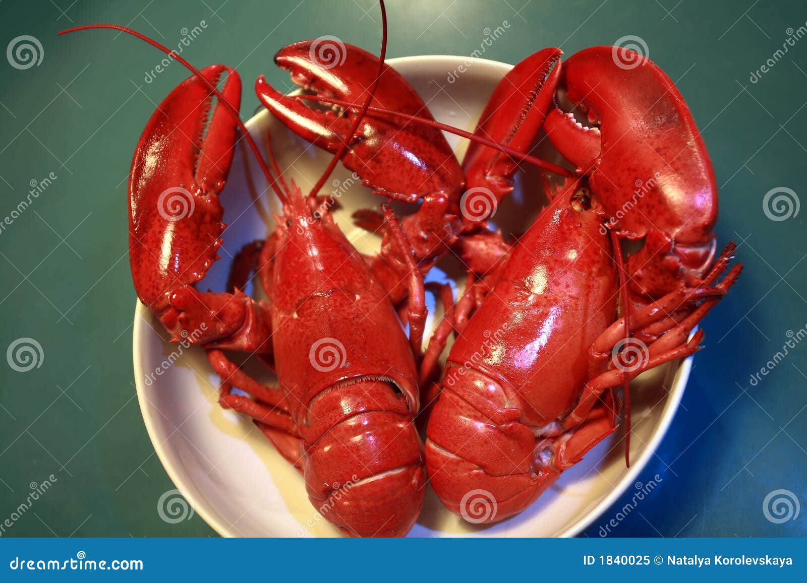 Homary gotowani czerwone obraz stock. Obraz złożonej z delikatny 1840025