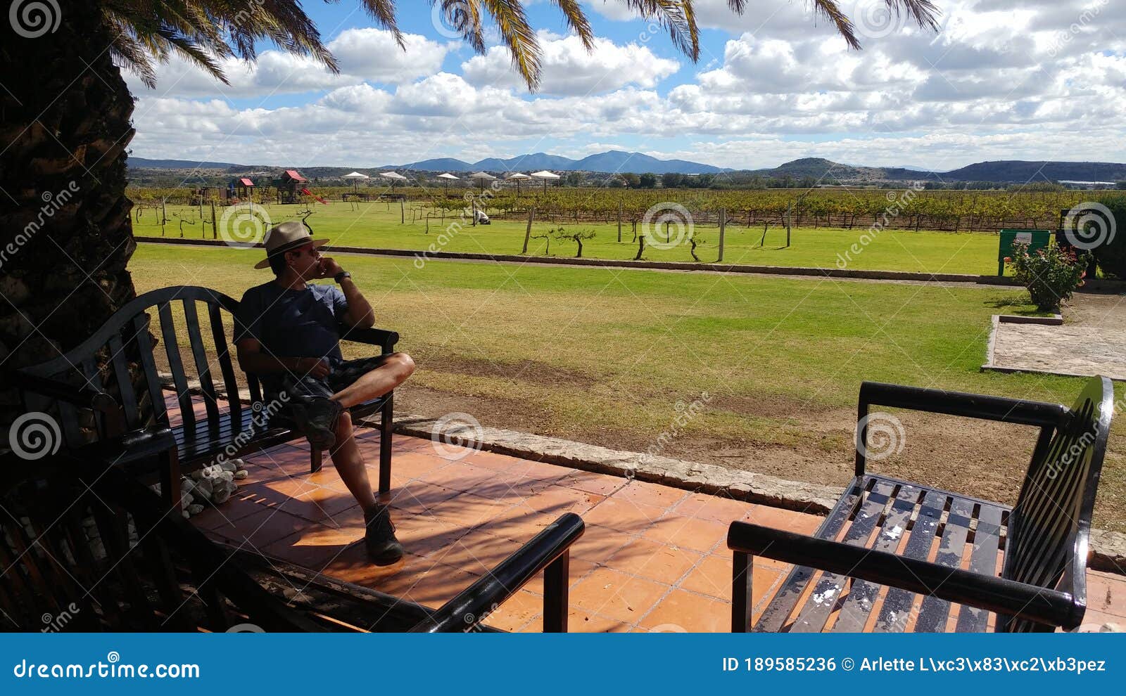 hombre relajado viendo el viÃÂ±edo