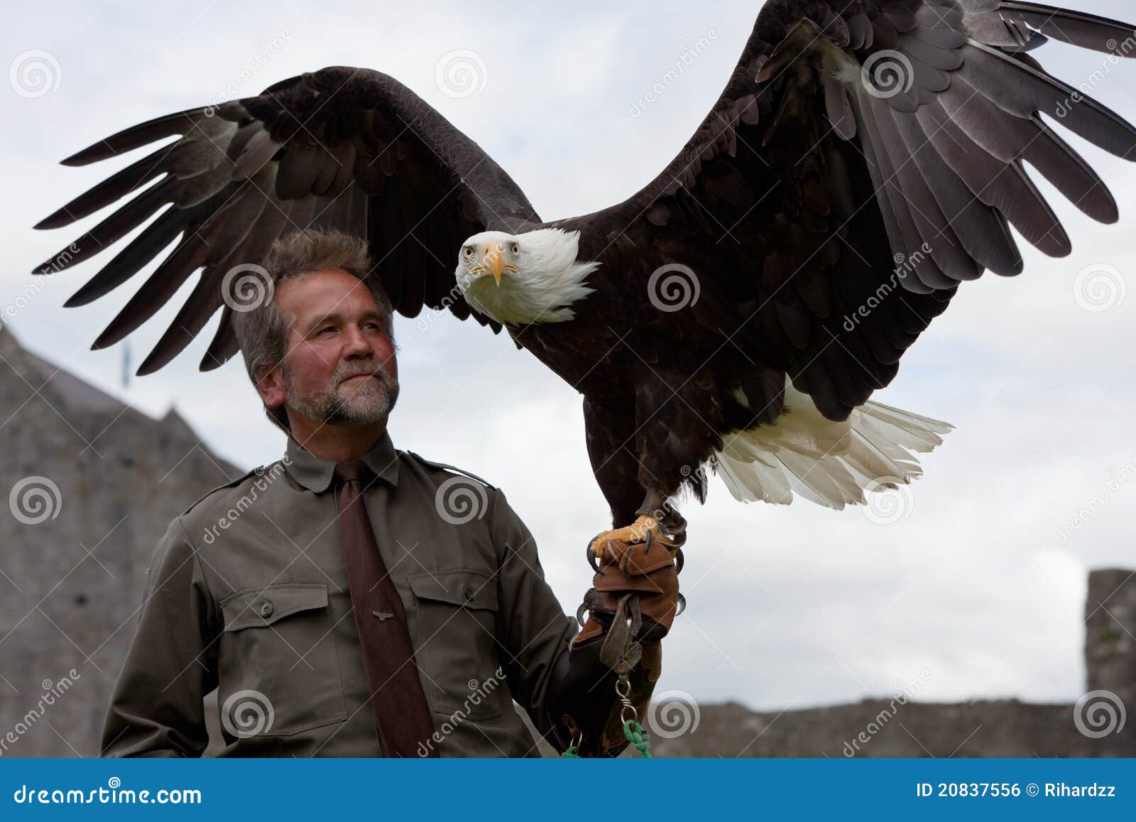 Hombre con el águila foto editorial. Imagen de marchitarse - 20837556