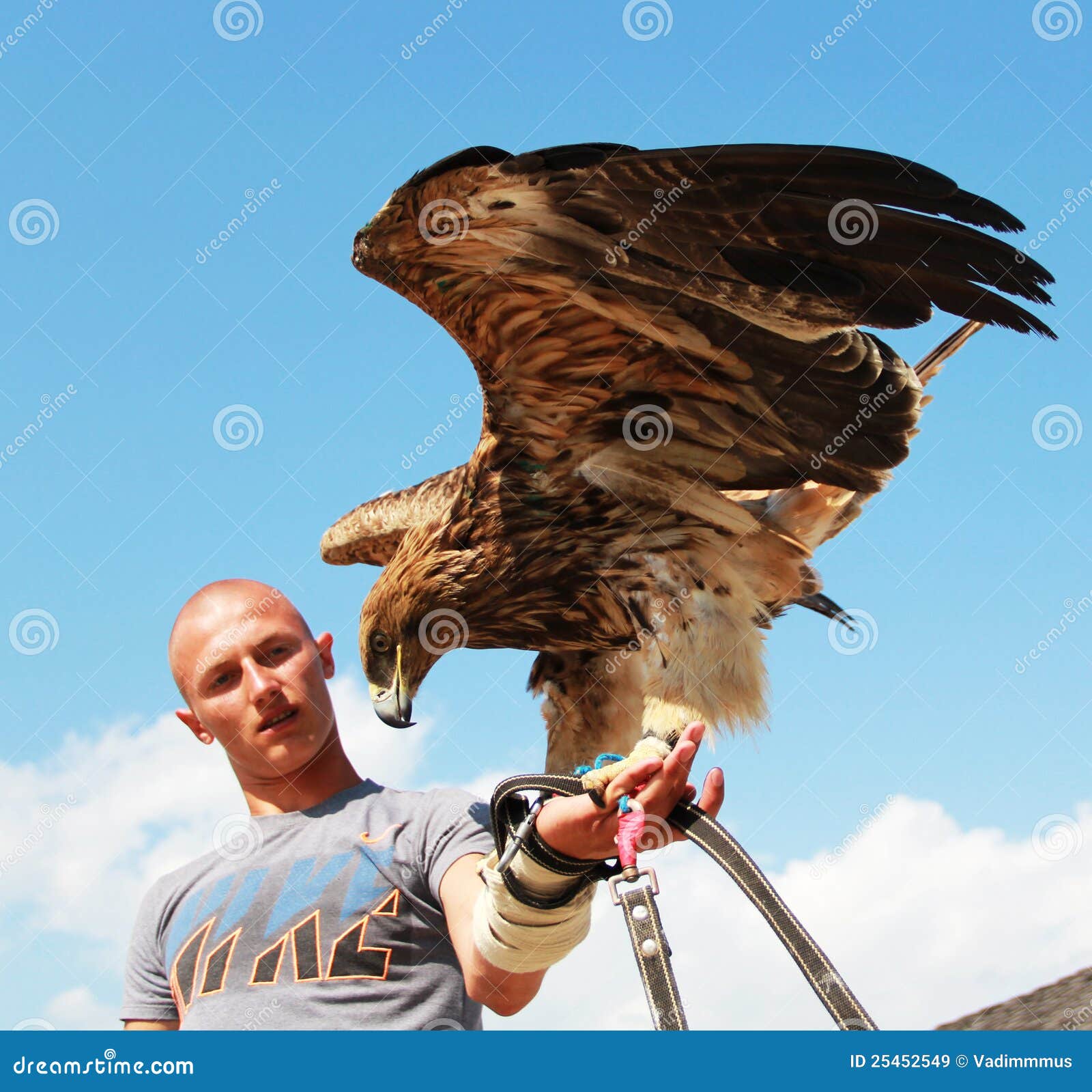 Hombre con el águila imagen de archivo editorial. Imagen de cazador -  25452549
