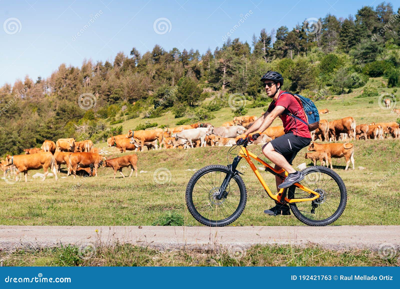 Hombre Con Mochila En Bicicleta De Montaña En Un Sendero Imagen de archivo  - Imagen de jinete, hombre: 192421763