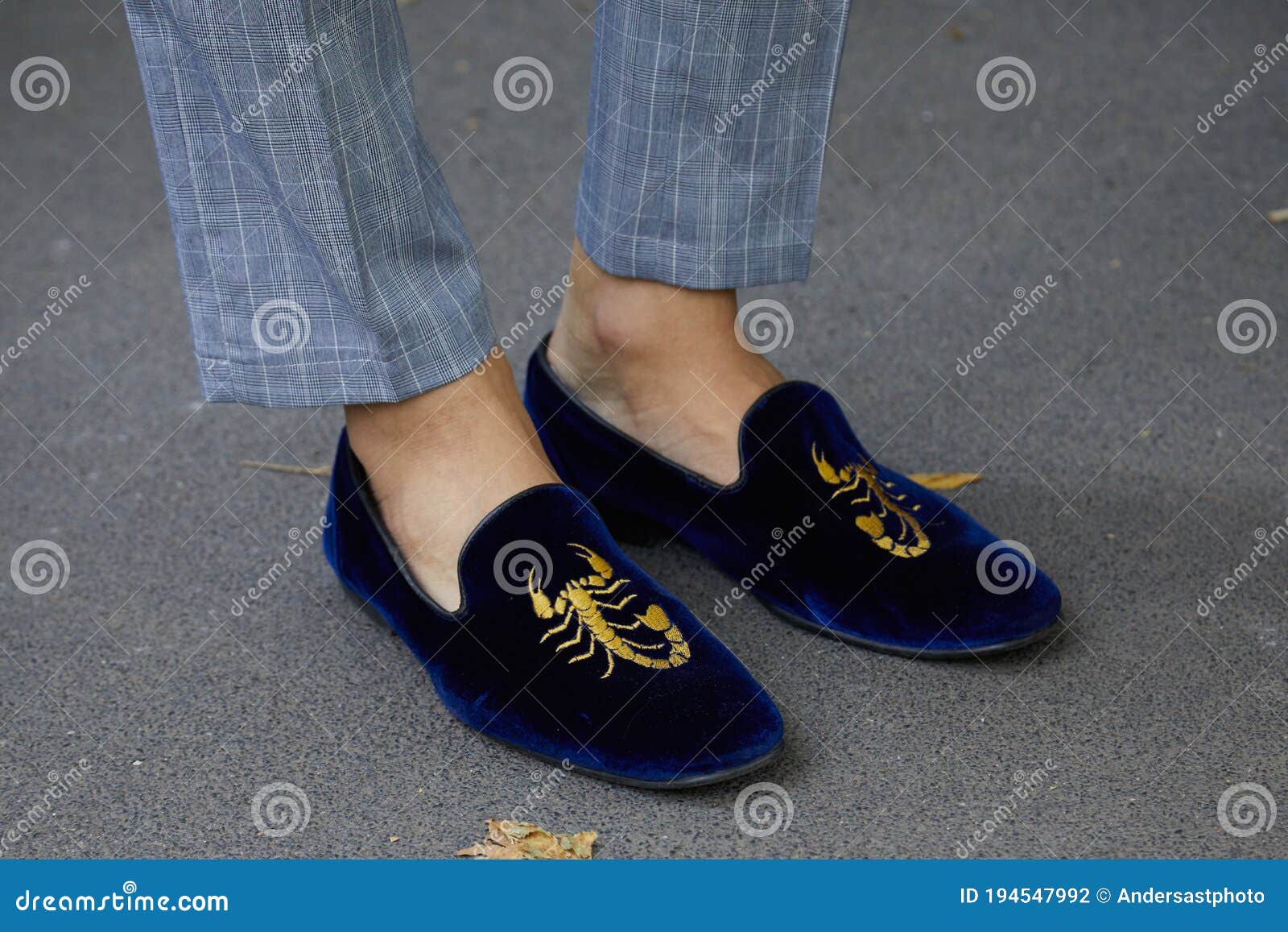 Hombre Con Zapatos De Terciopelo Azul Con Diseño De Escorpión Dorado Antes  Del Fendi Show De Moda Milan Semana Estilo Calle Fotografía editorial -  Imagen de checkered, pantalones: 194547992