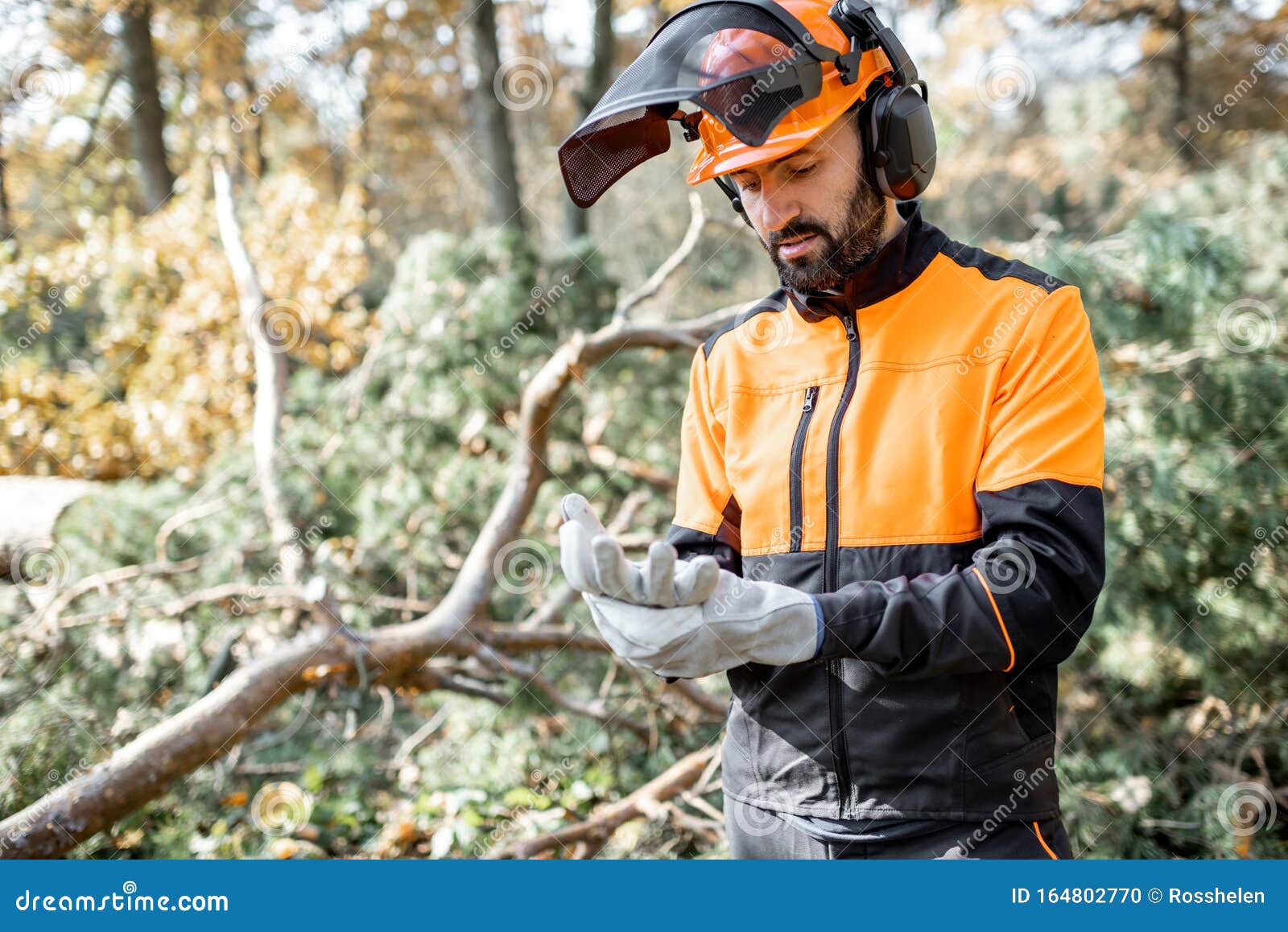 Hombre De Leña Profesional En El Bosque Foto de archivo - Imagen de  profesional, hombre: 164802770